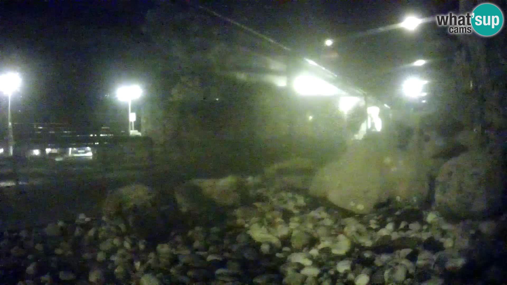 Vanjski morski akvarij Rogoznica web kamera Hrvatska