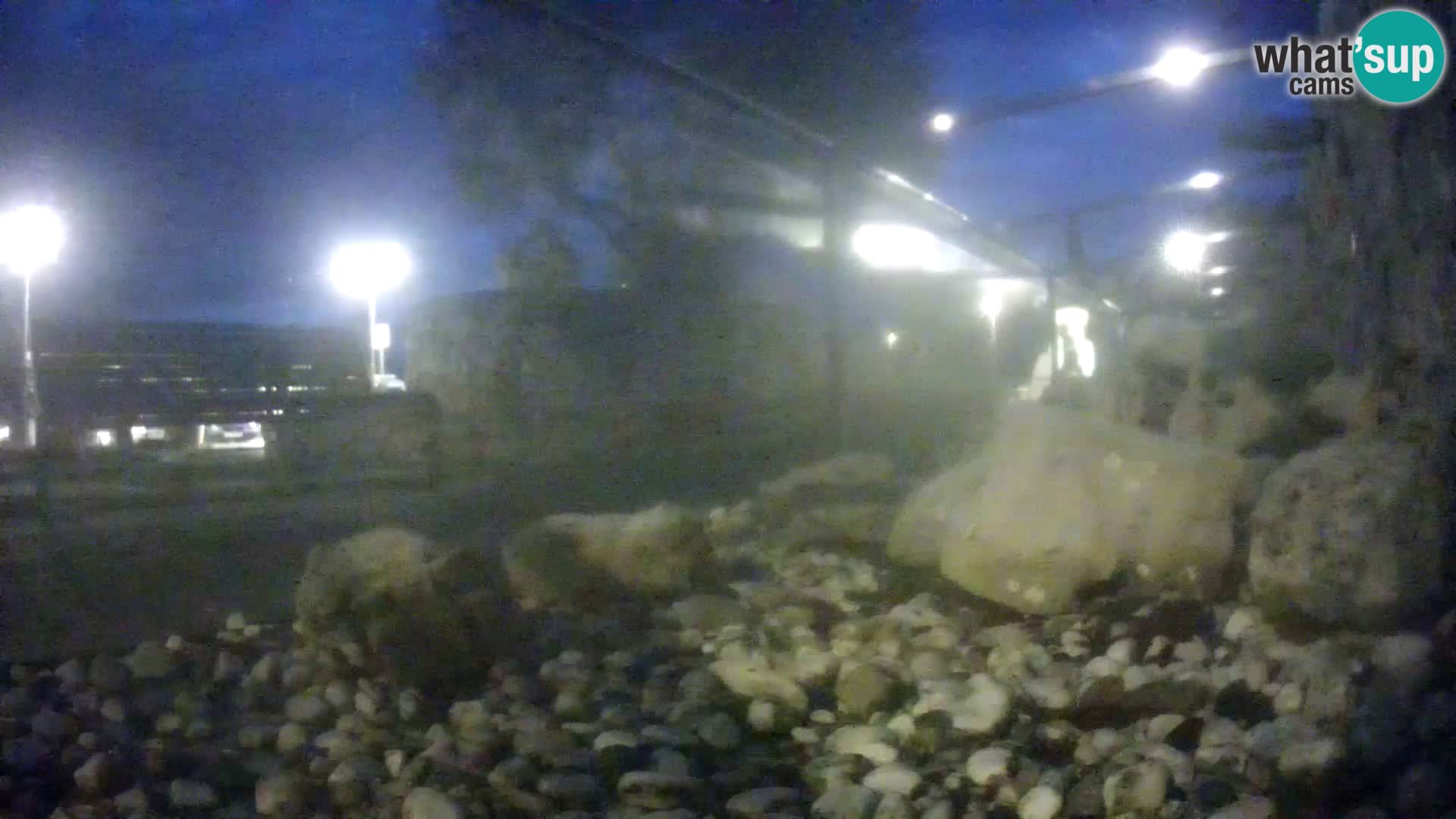 Zunanji morski akvarij Rogoznica spletna kamera Hrvaška