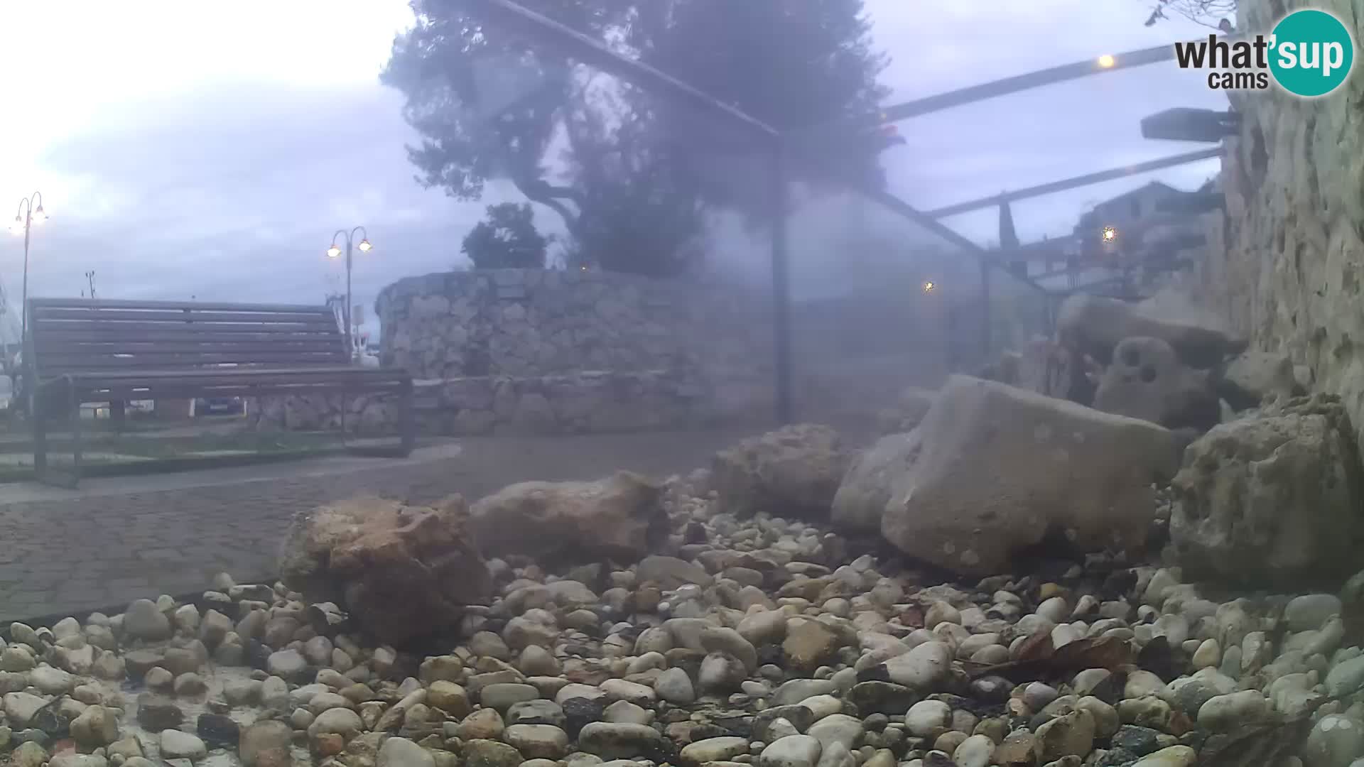 Zunanji morski akvarij Rogoznica spletna kamera Hrvaška