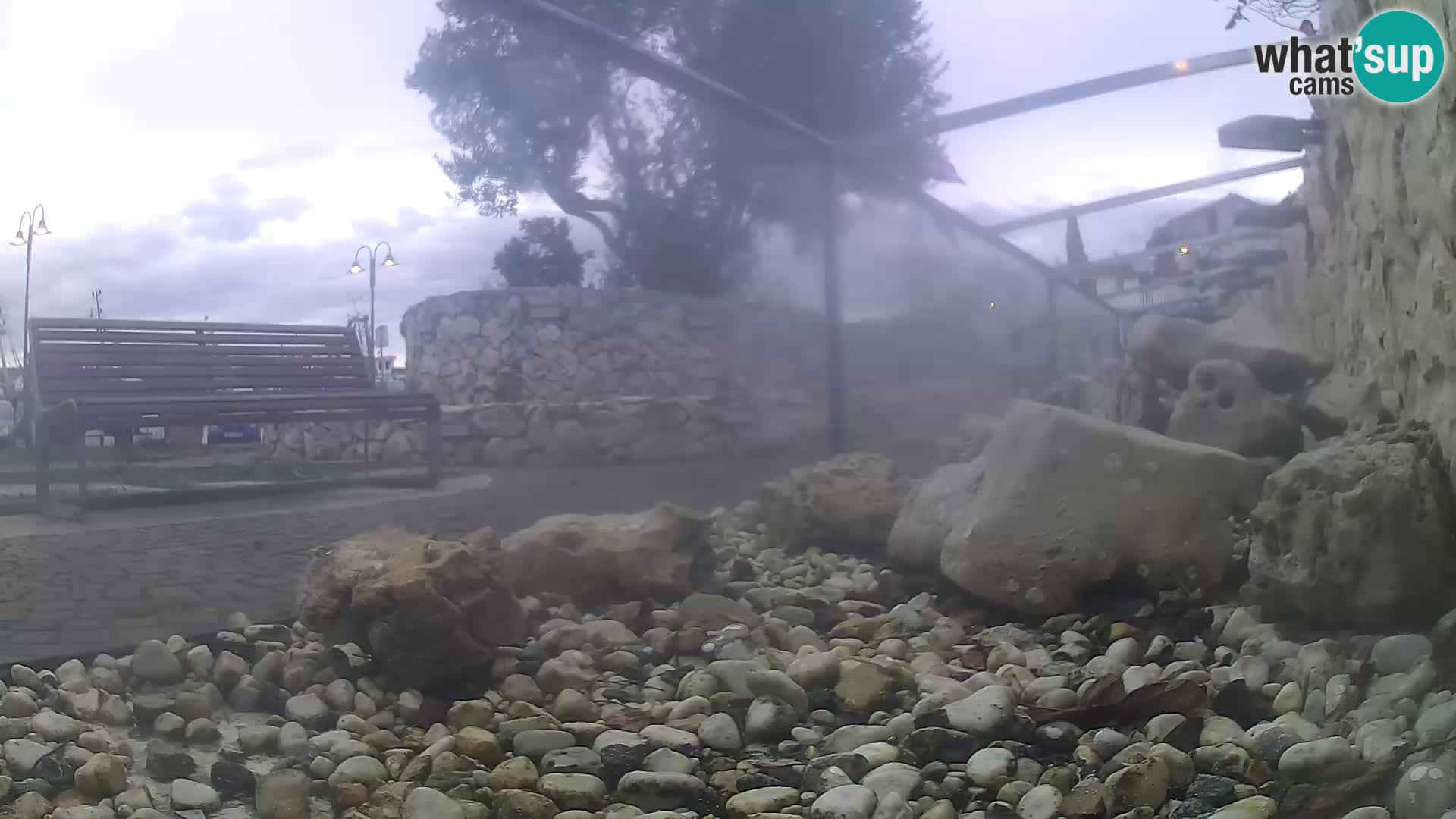 Zunanji morski akvarij Rogoznica spletna kamera Hrvaška