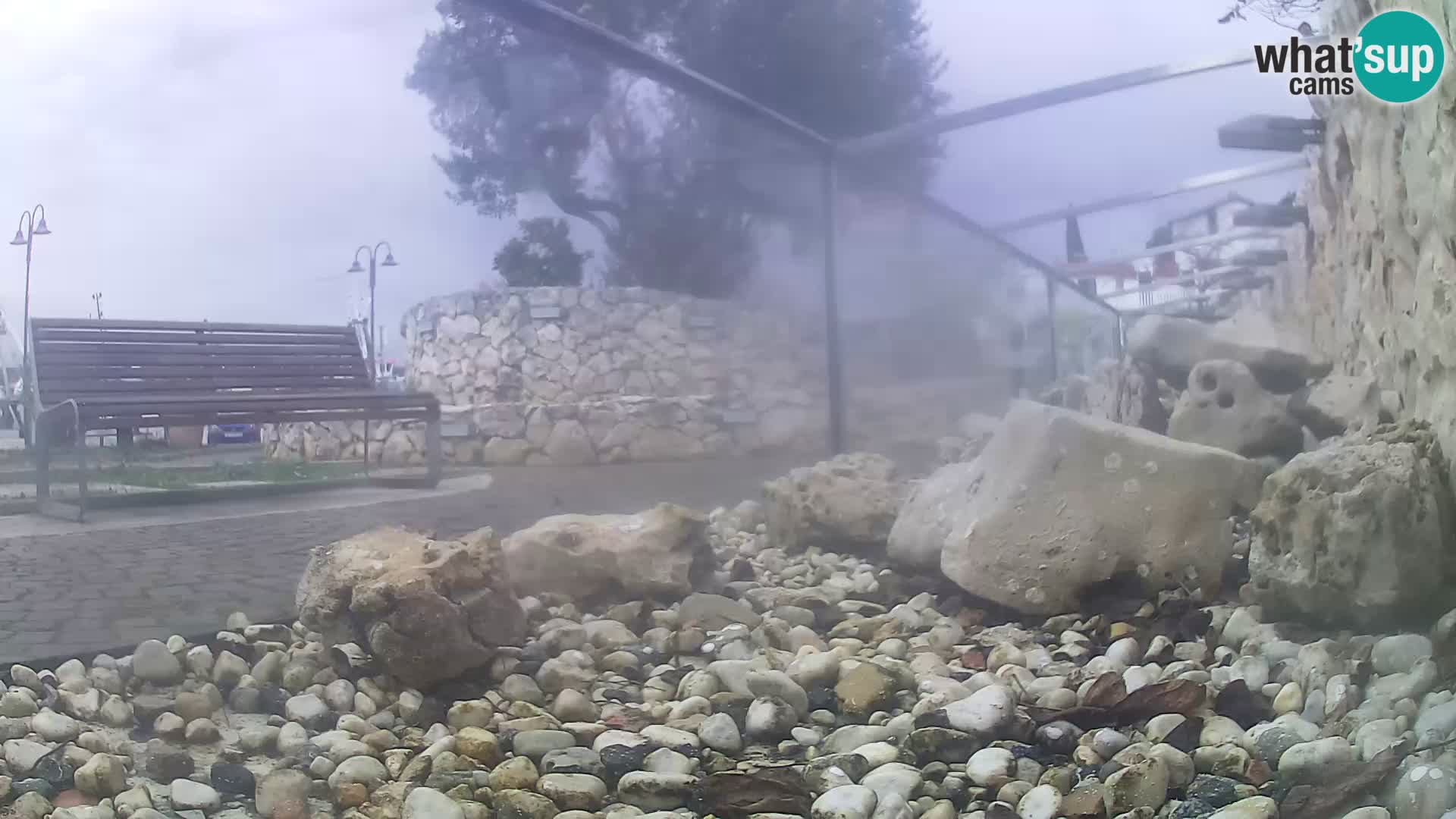 Acuario marino al aire libre Rogoznica webcam Croacia