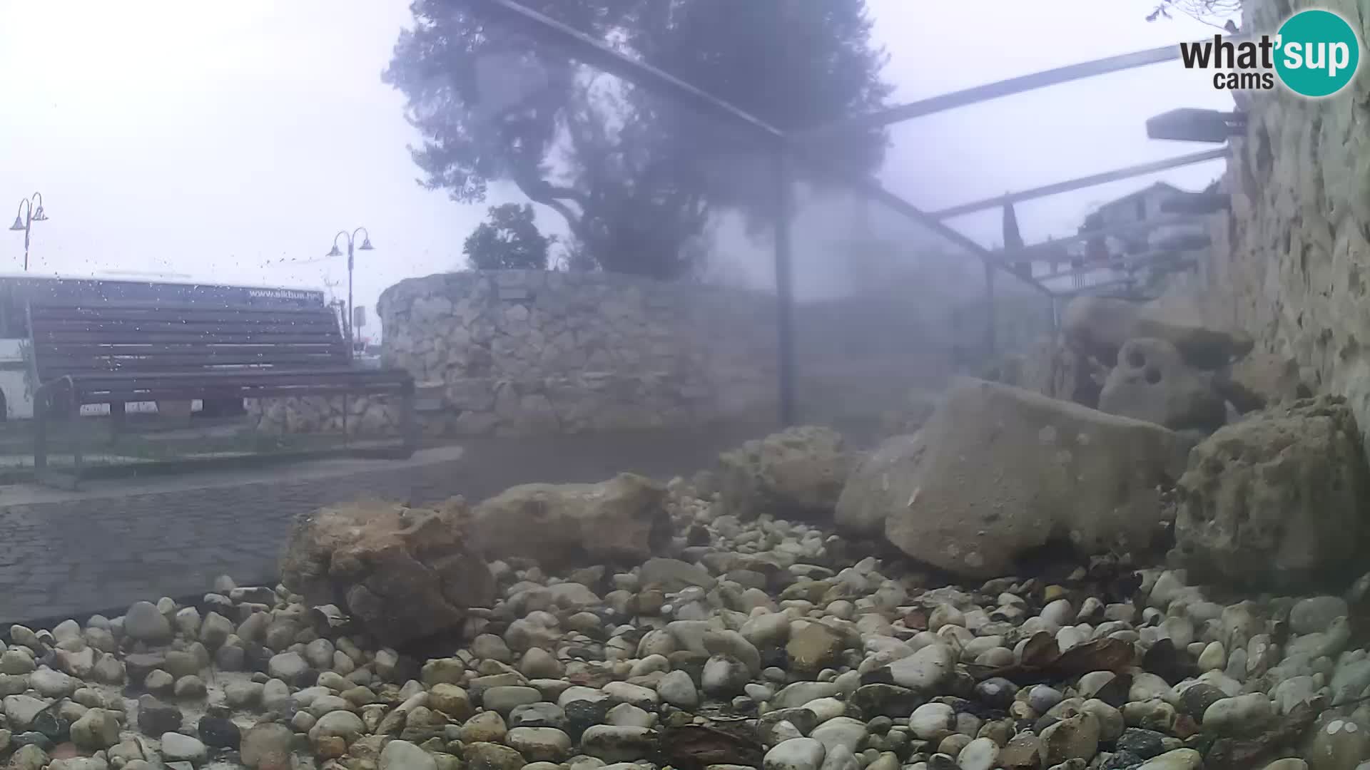 Zunanji morski akvarij Rogoznica spletna kamera Hrvaška