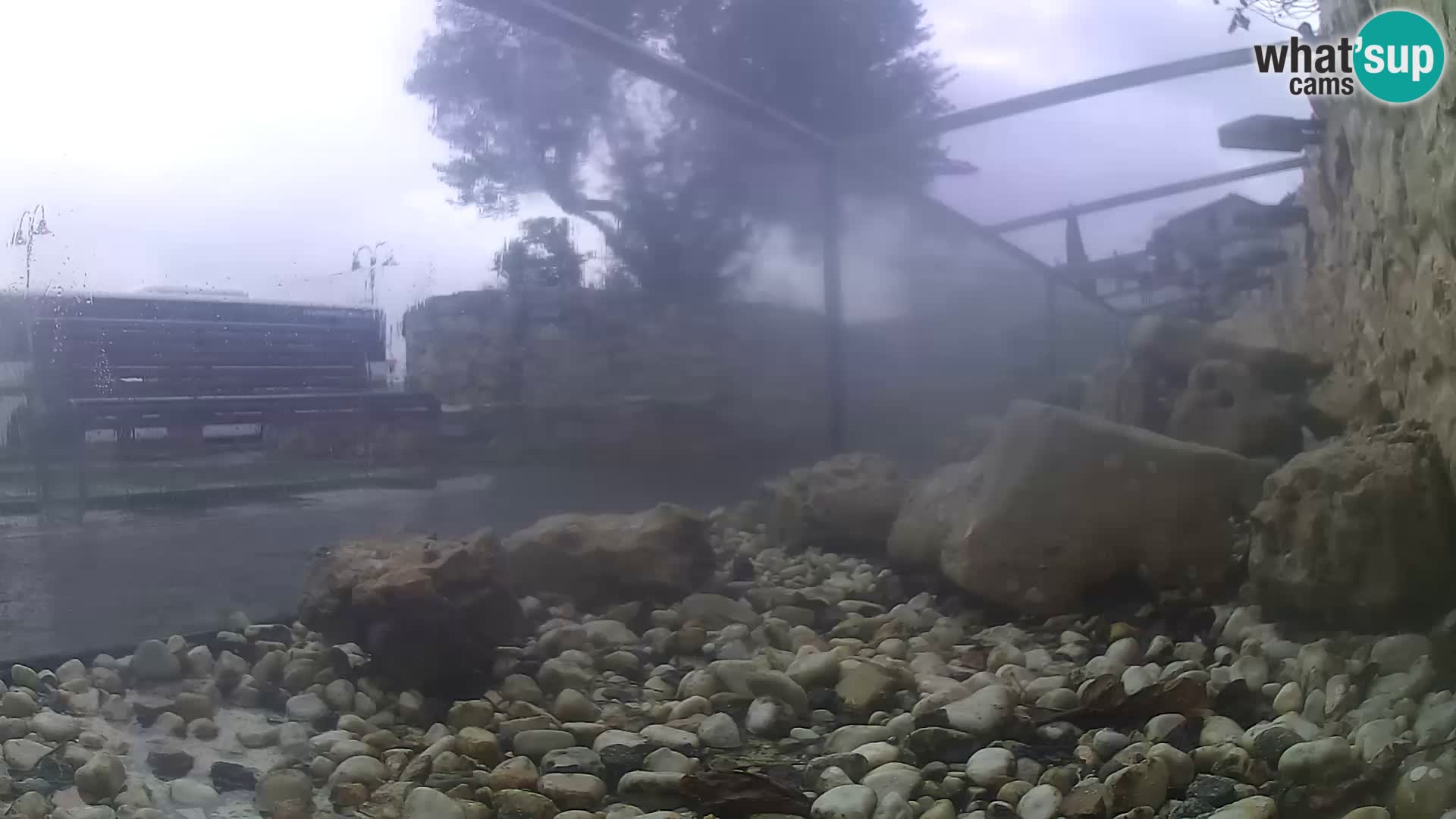 Outdoor Marine Aquarium Rogoznica webcam Croatia