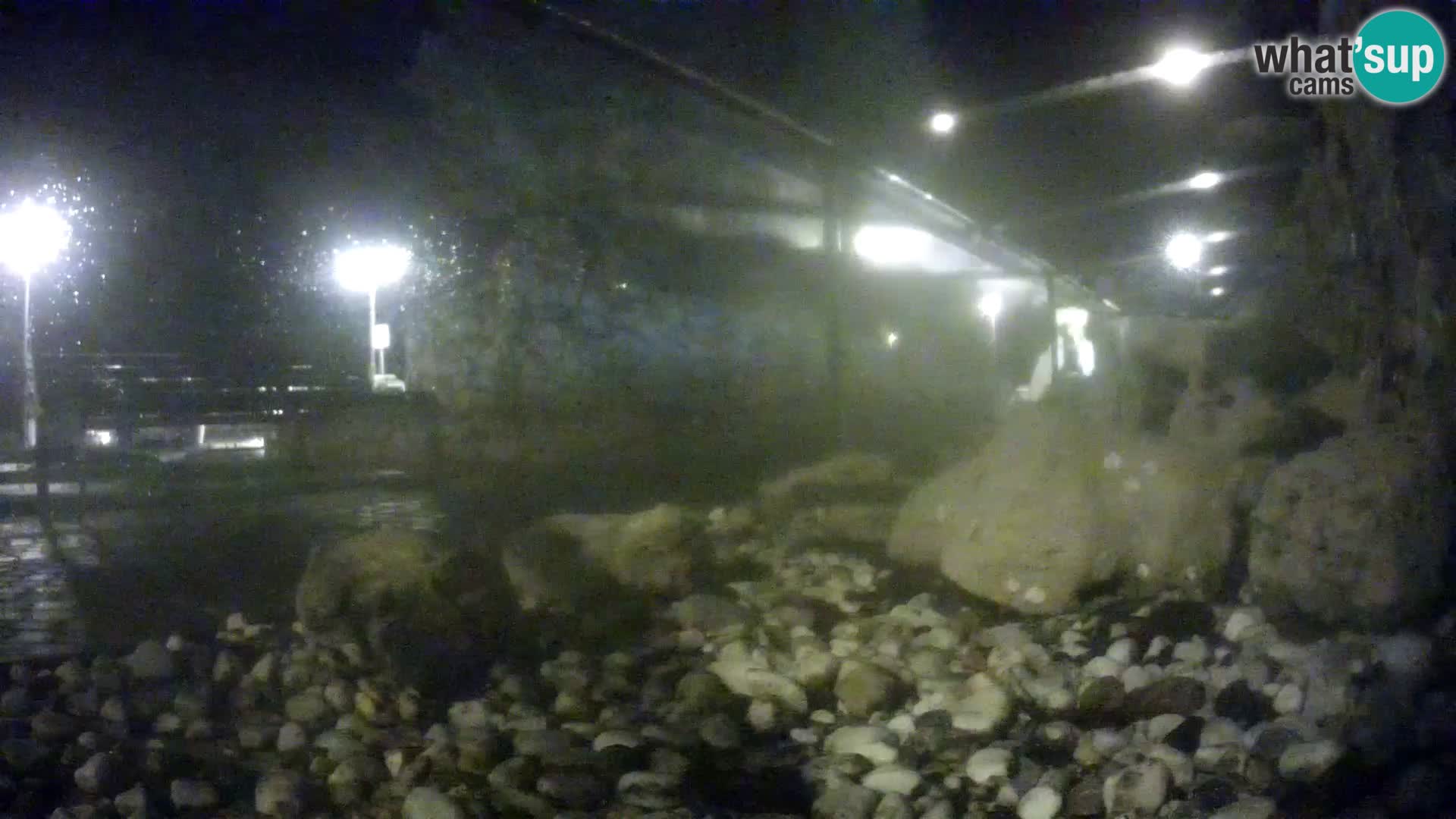 Zunanji morski akvarij Rogoznica spletna kamera Hrvaška