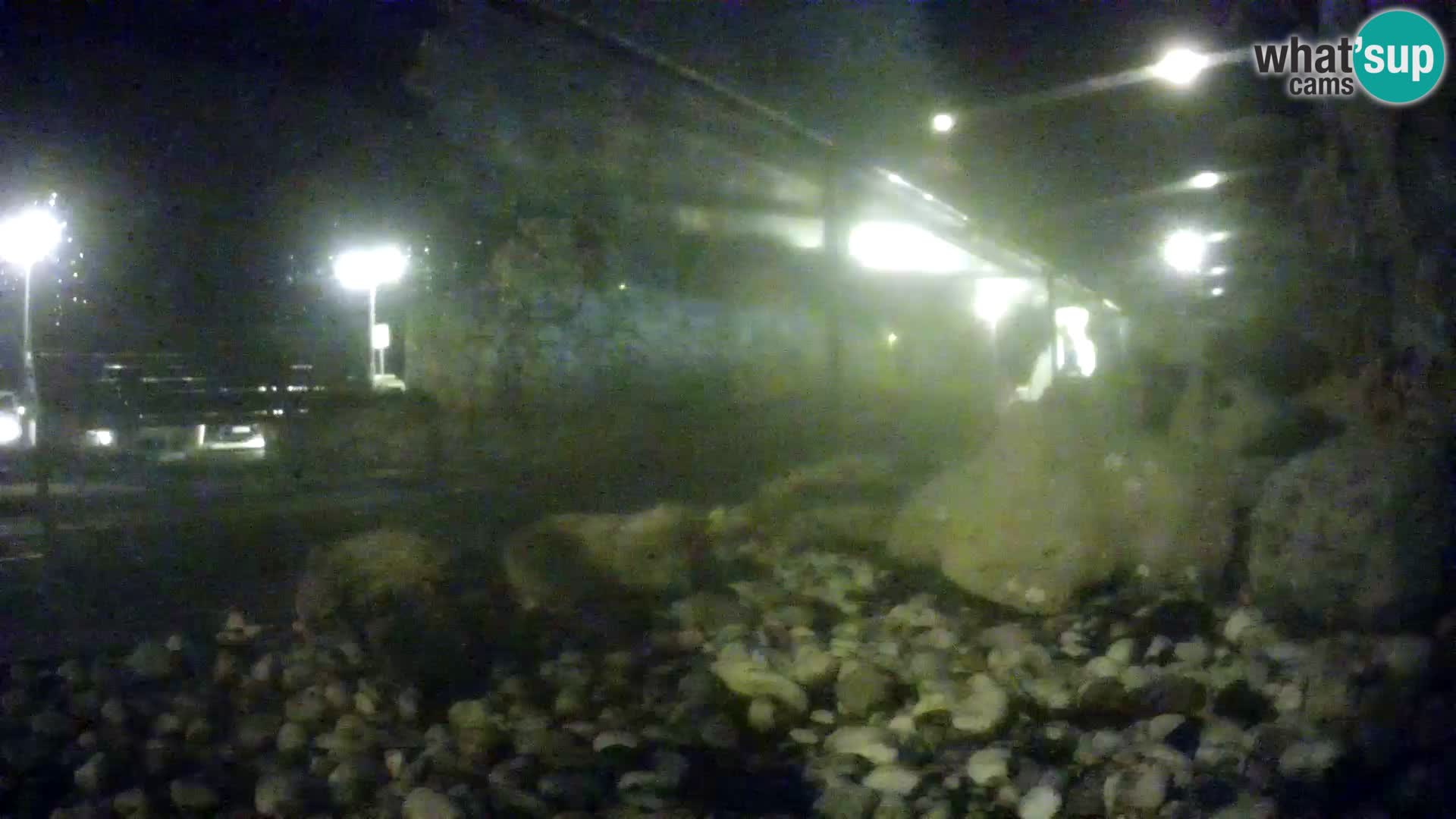 Outdoor Marine Aquarium Rogoznica webcam Croatia