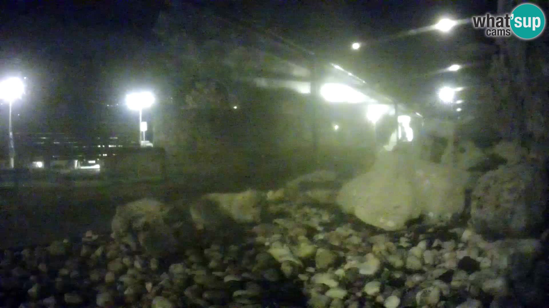 Outdoor Marine Aquarium Rogoznica webcam Croatia