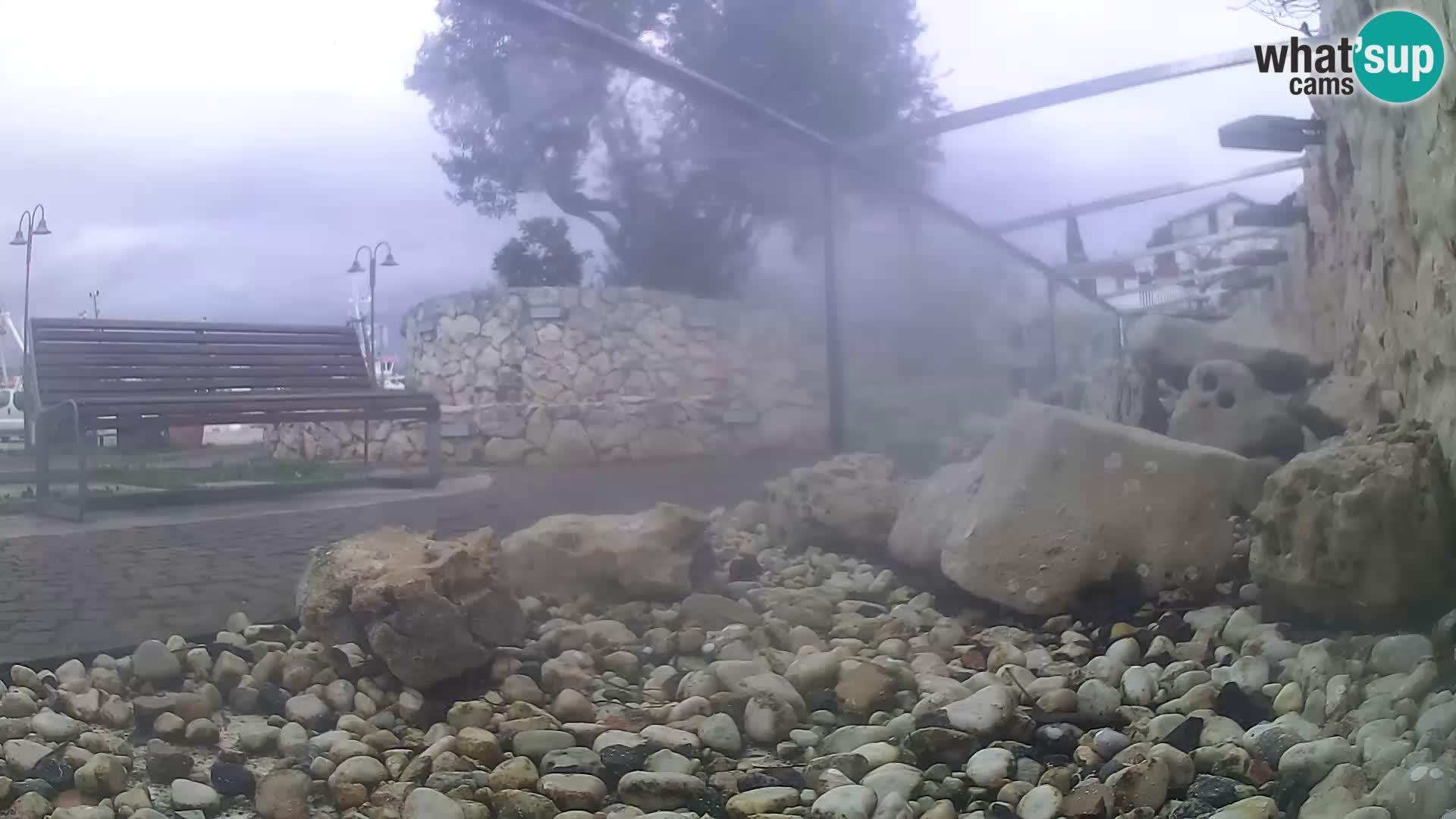 Zunanji morski akvarij Rogoznica spletna kamera Hrvaška