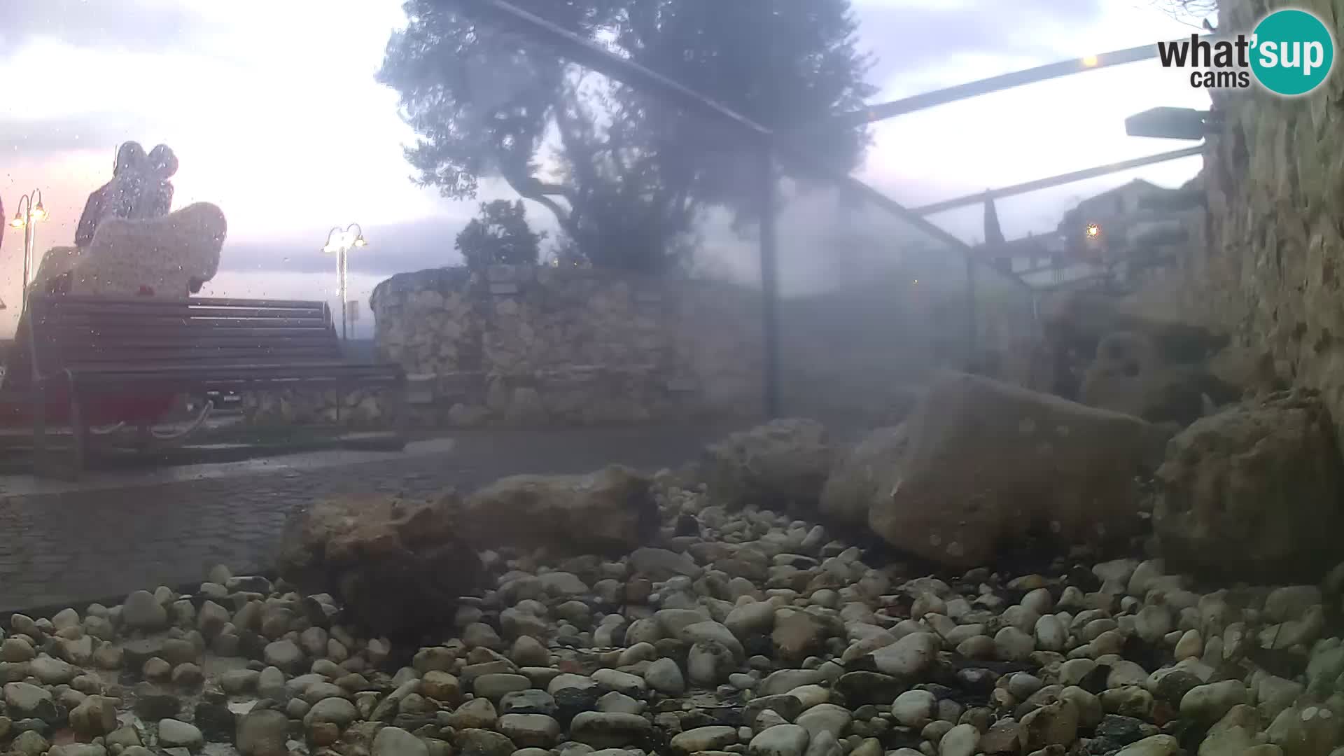 Outdoor Marine Aquarium Rogoznica webcam Croatia