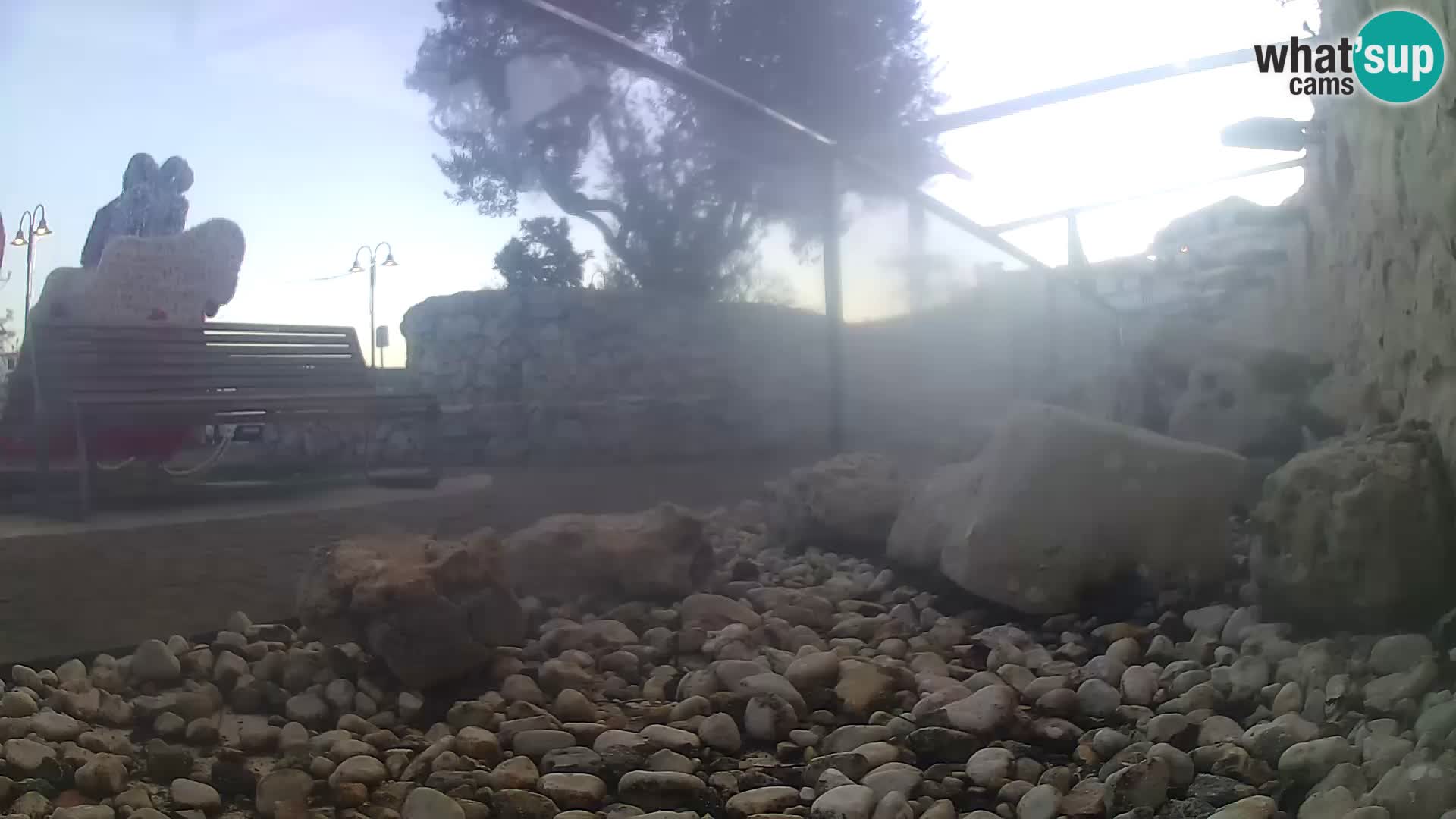 Zunanji morski akvarij Rogoznica spletna kamera Hrvaška