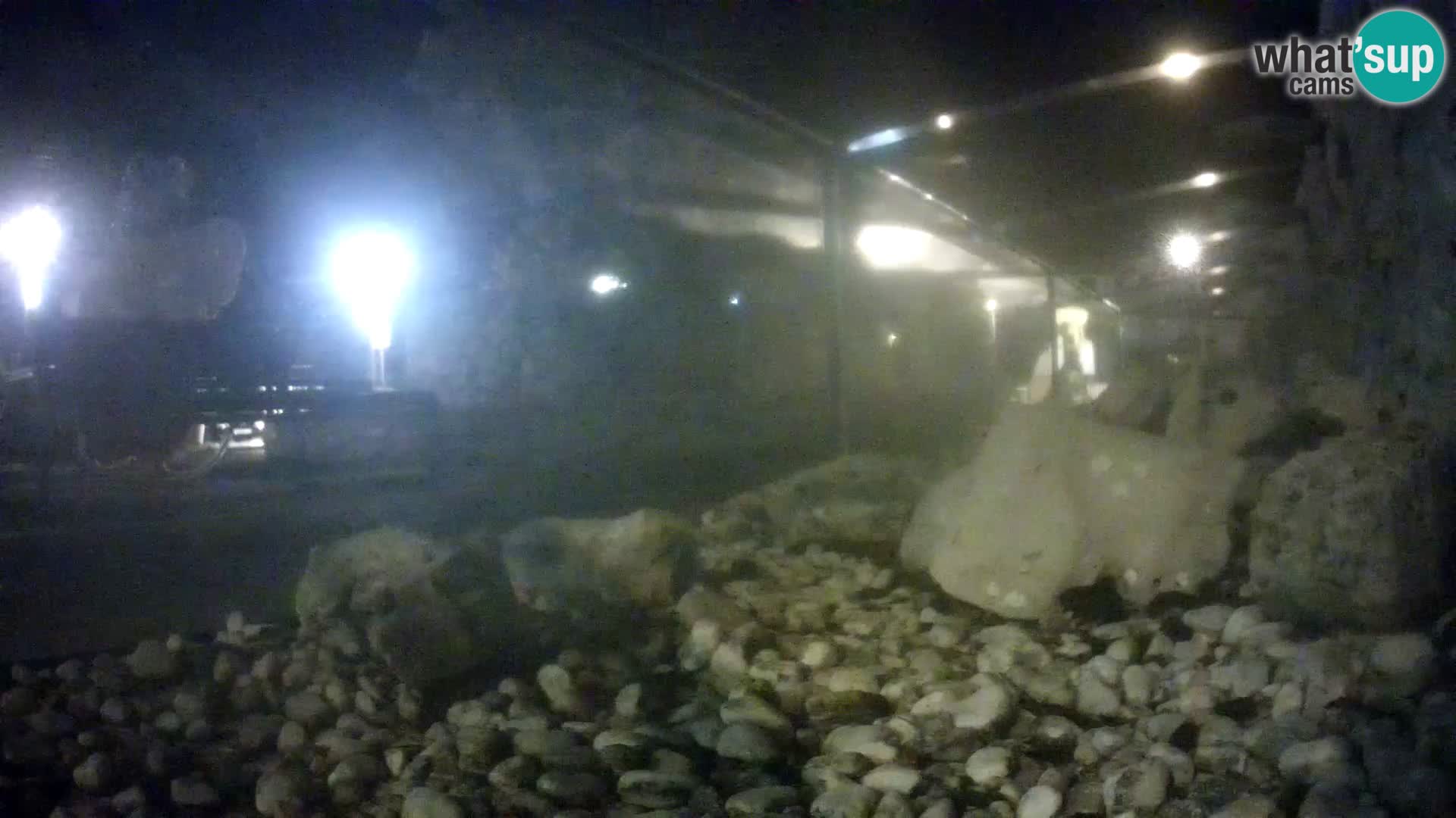 Acuario marino al aire libre Rogoznica webcam Croacia