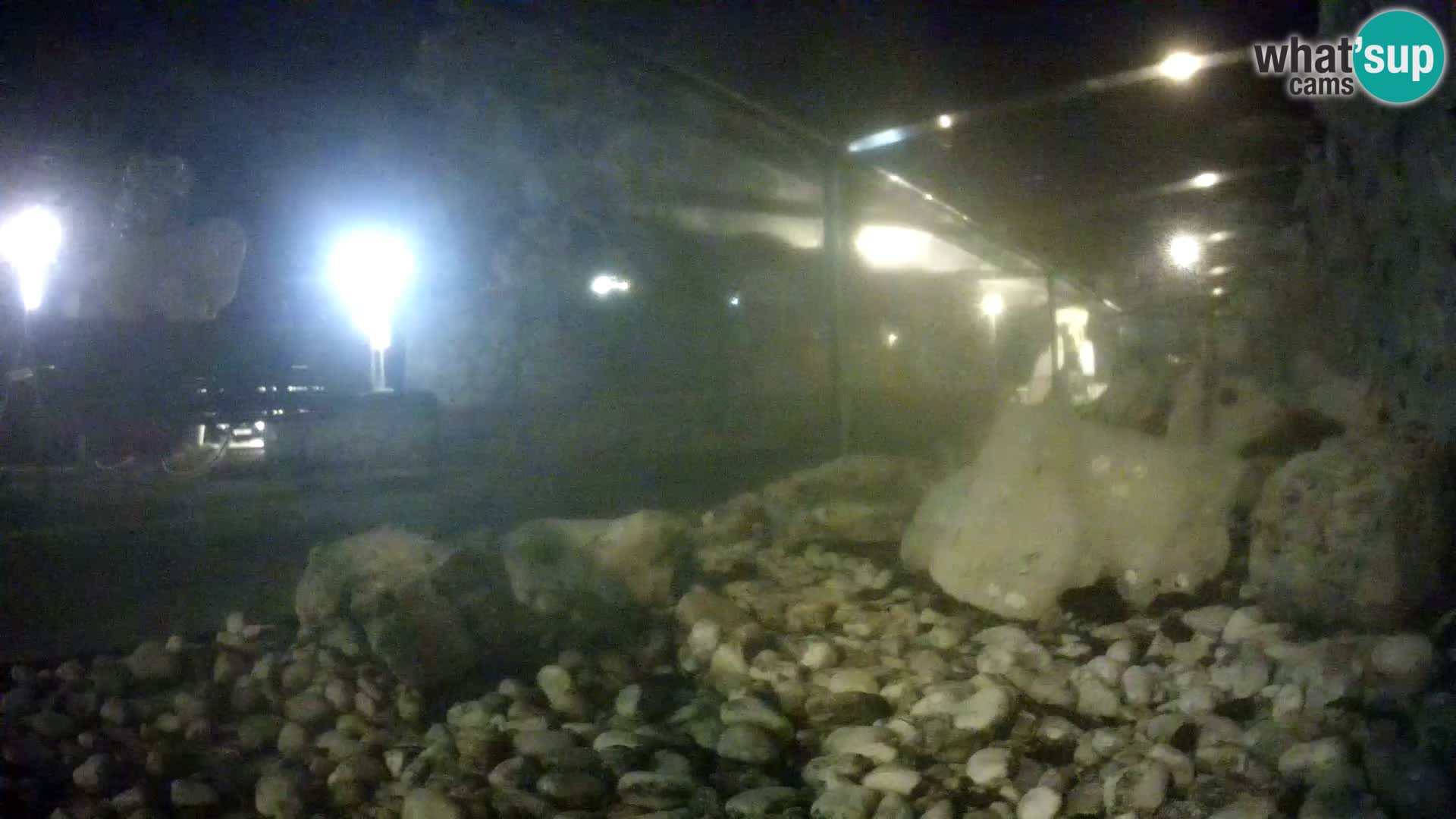 Aquario marino esterno –  Rogoznica livecam Croazia