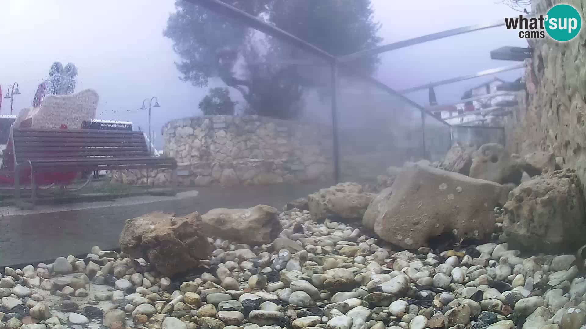 Vanjski morski akvarij Rogoznica web kamera Hrvatska