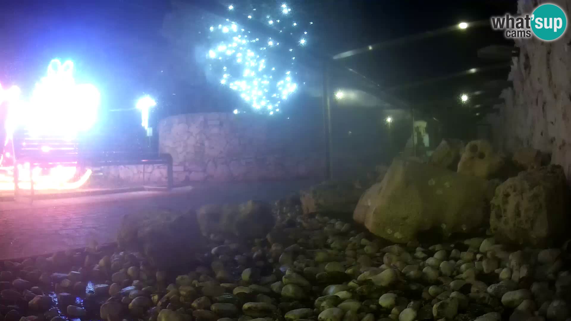 Aquario marino esterno –  Rogoznica livecam Croazia