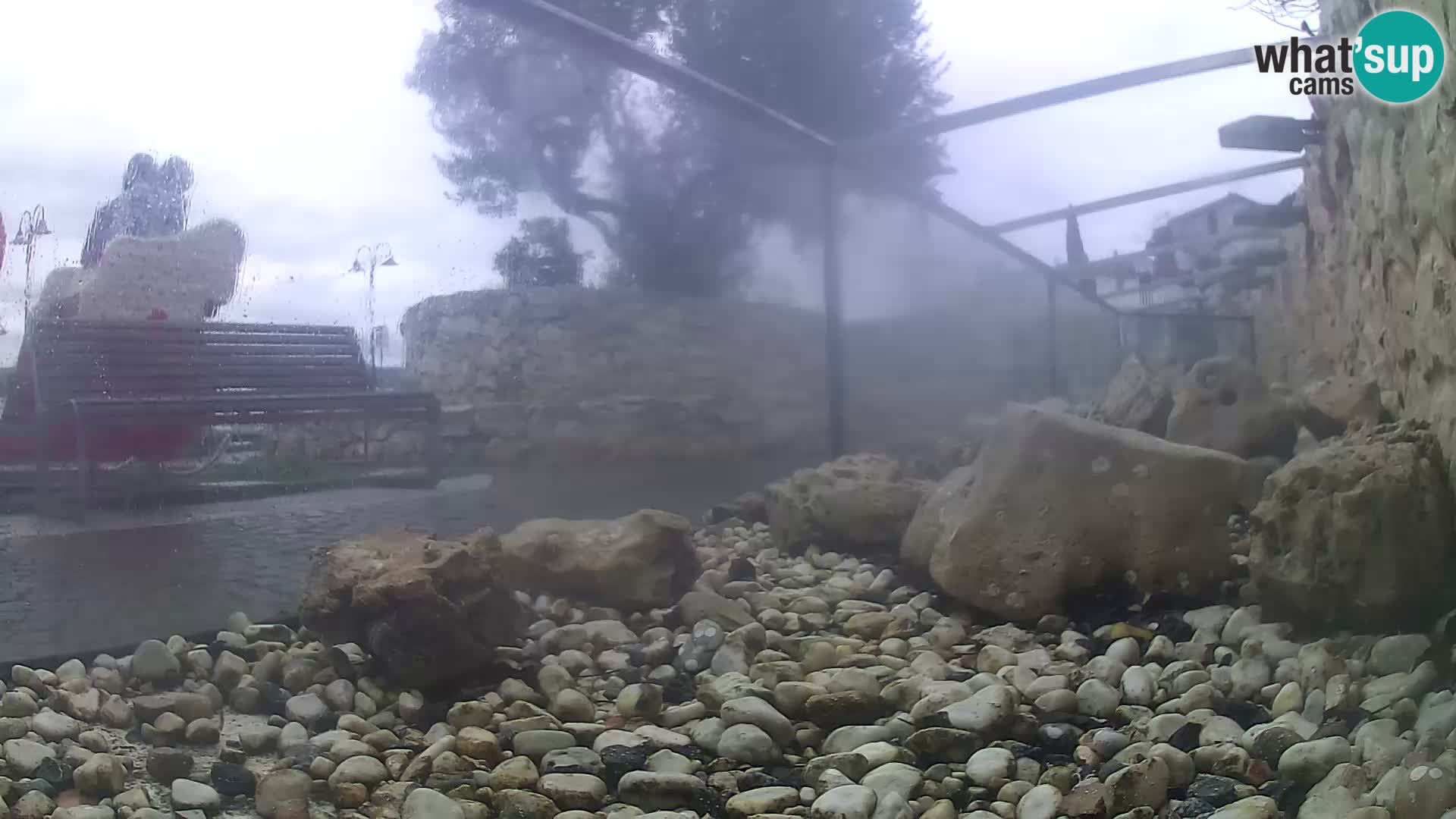 Zunanji morski akvarij Rogoznica spletna kamera Hrvaška