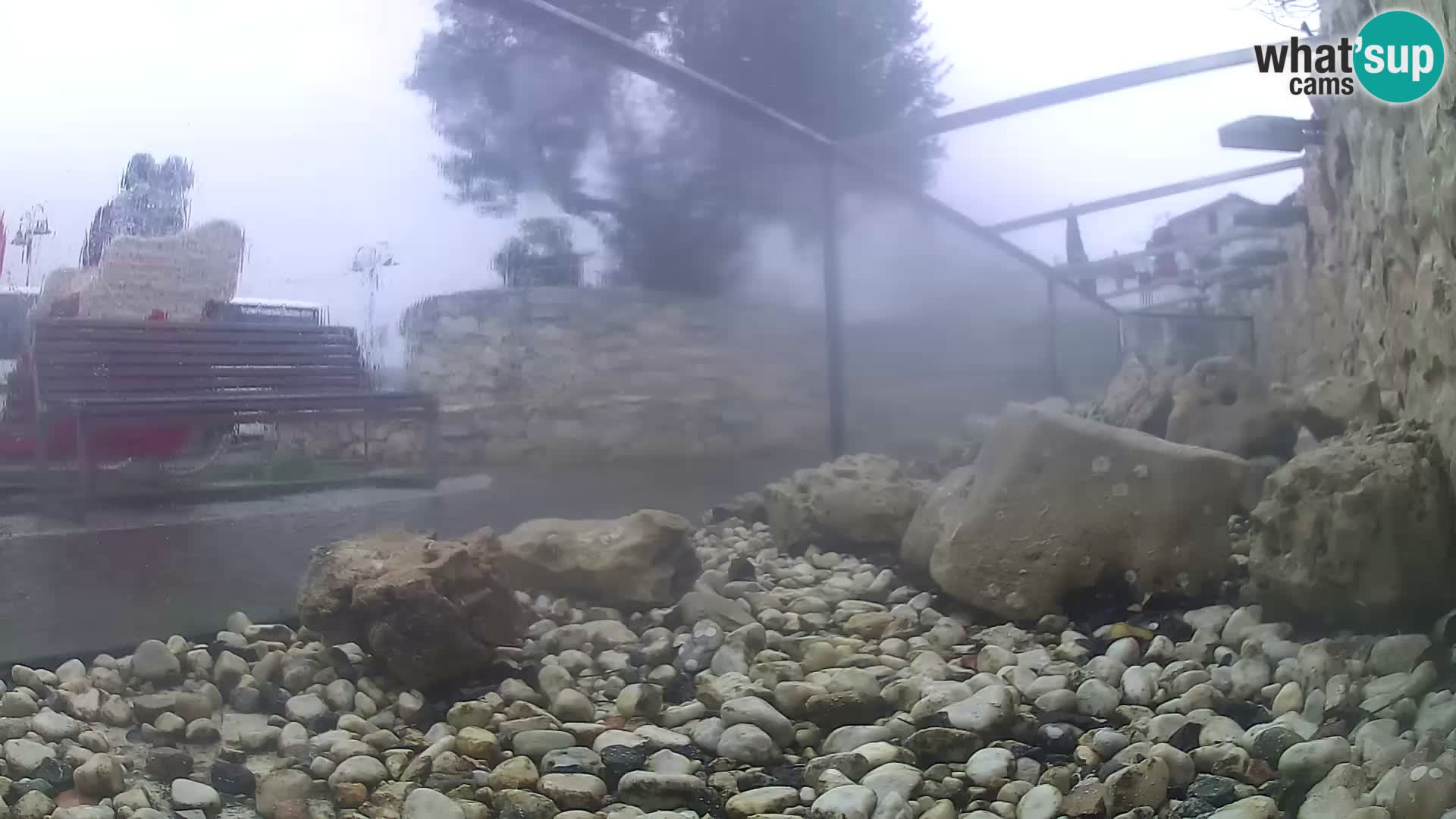 Marine Aquarium im Freien Rogoznica webcam Kroatien