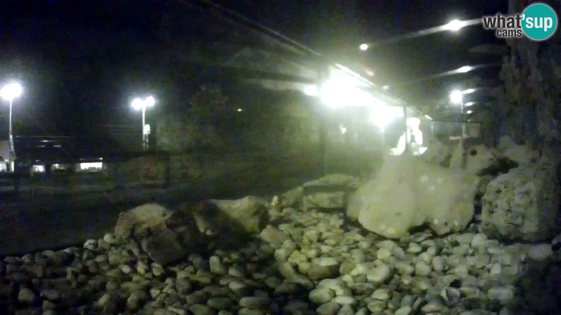 Marine Aquarium im Freien Rogoznica webcam Kroatien