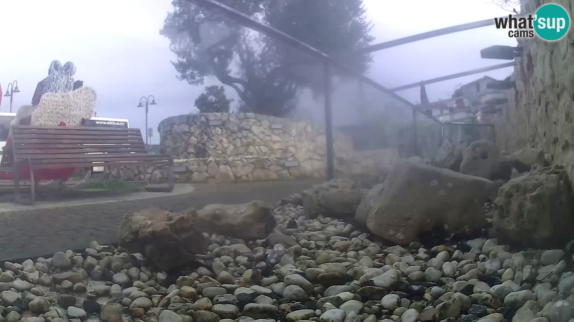 Acuario marino al aire libre Rogoznica webcam Croacia