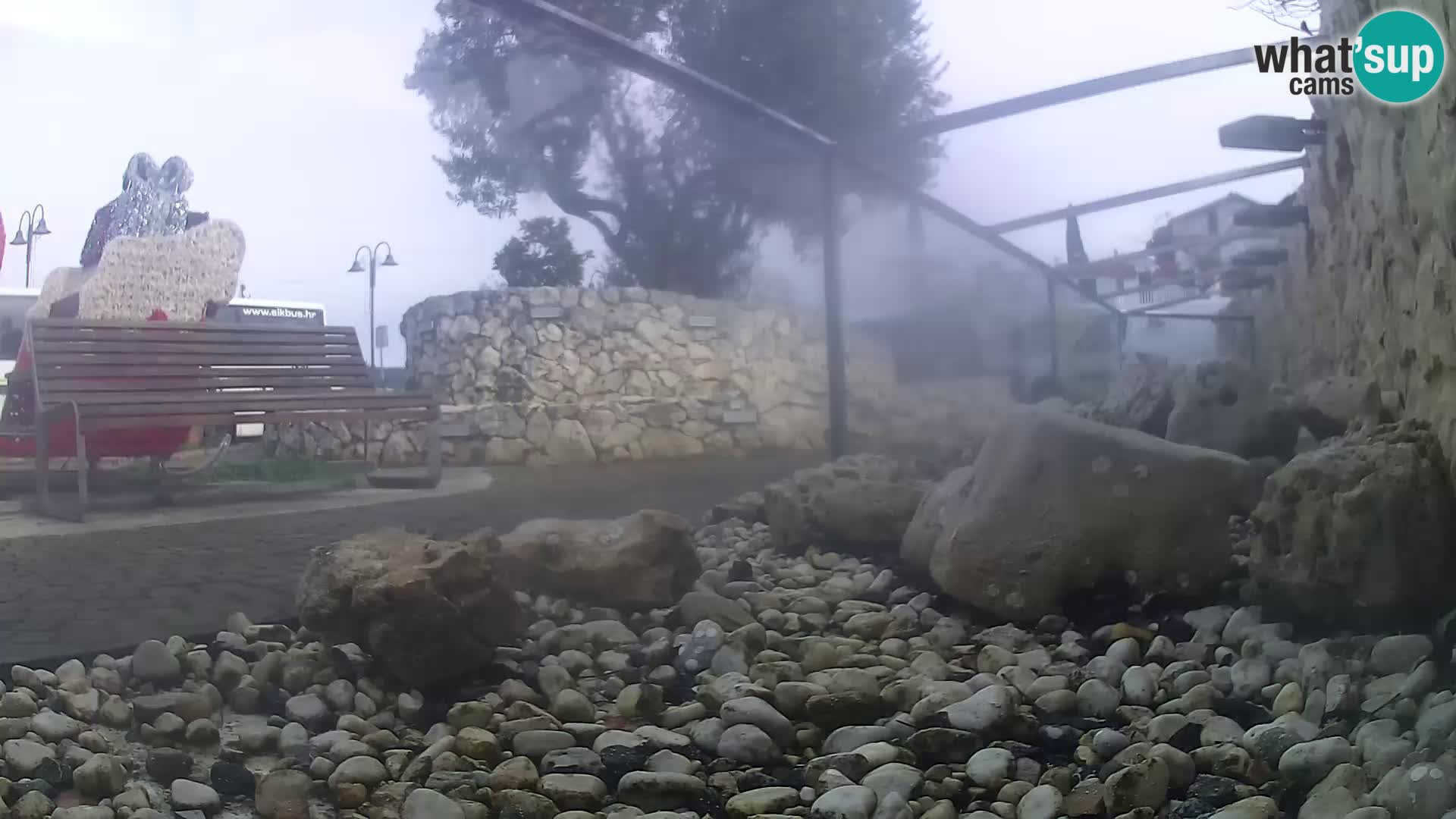 Zunanji morski akvarij Rogoznica spletna kamera Hrvaška