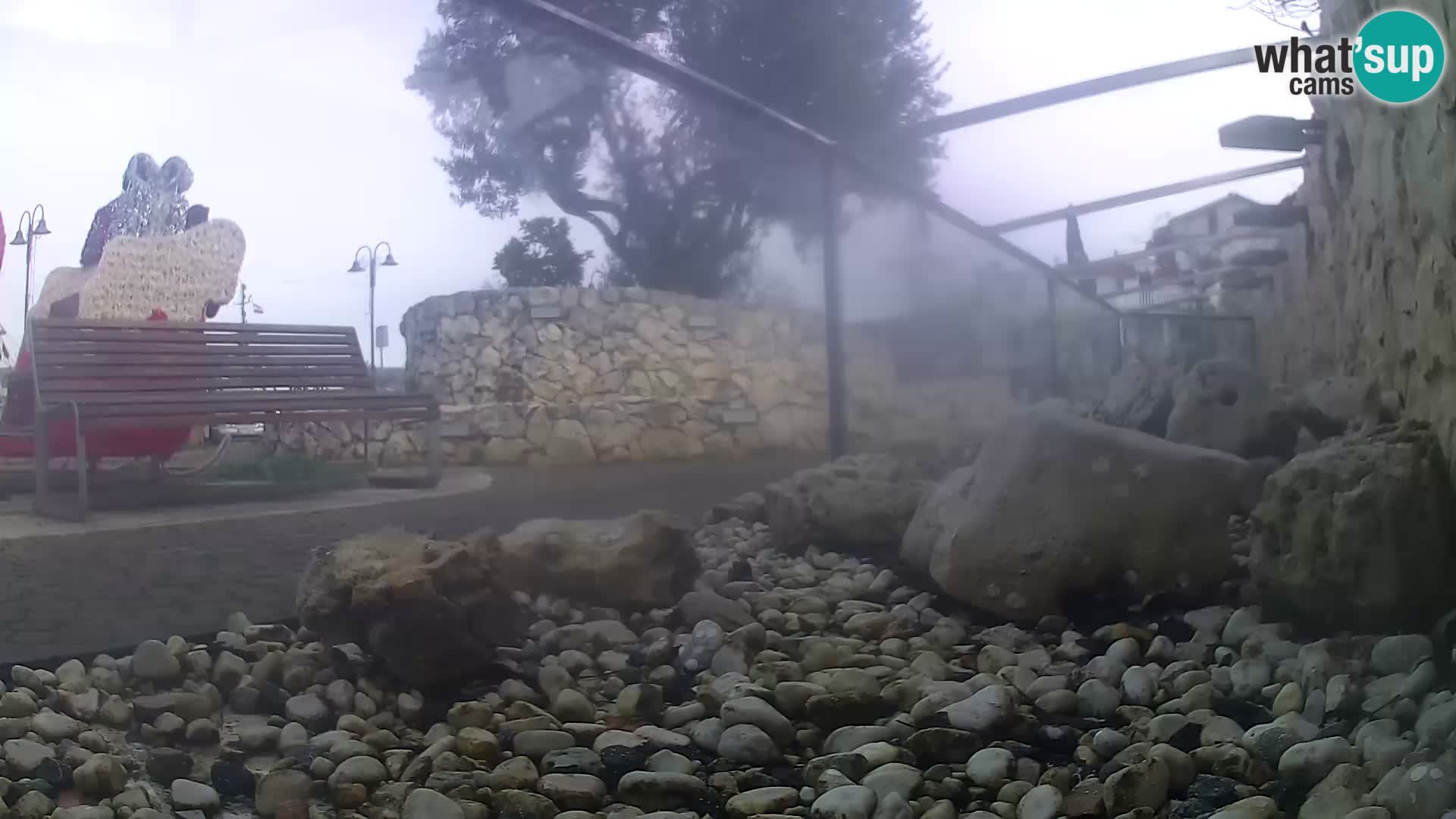 Aquario marino esterno –  Rogoznica livecam Croazia