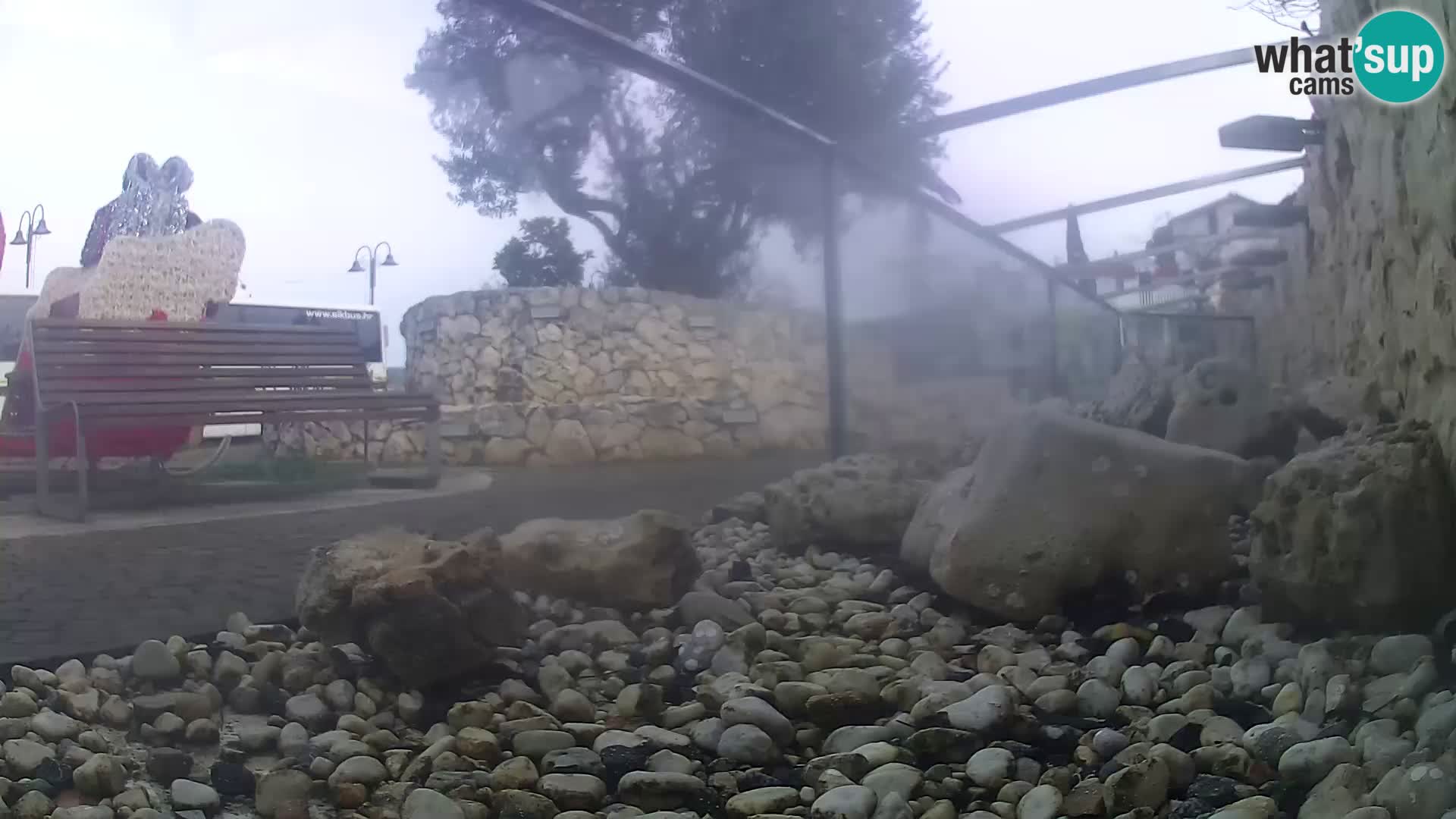 Zunanji morski akvarij Rogoznica spletna kamera Hrvaška