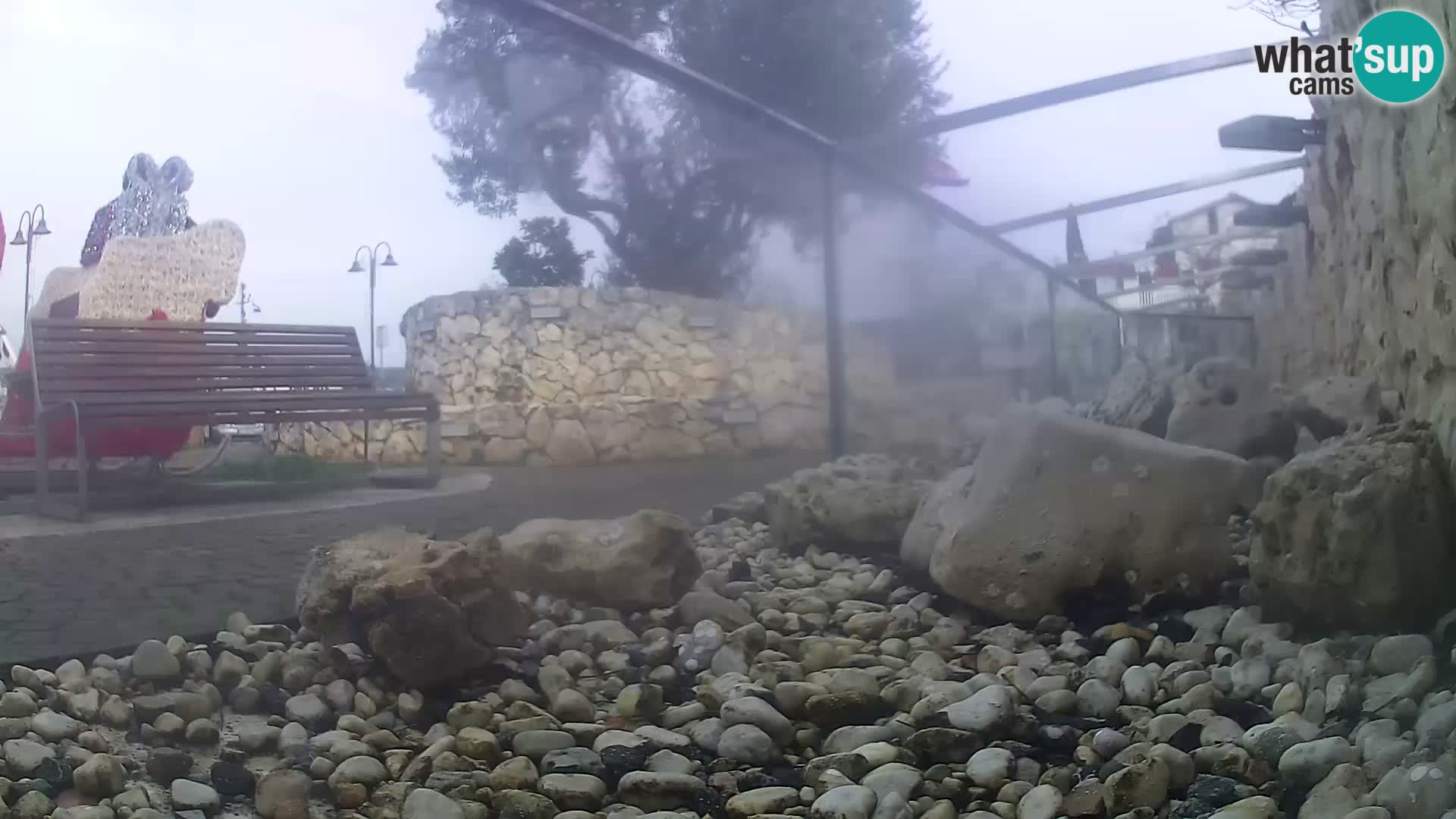 Acuario marino al aire libre Rogoznica webcam Croacia