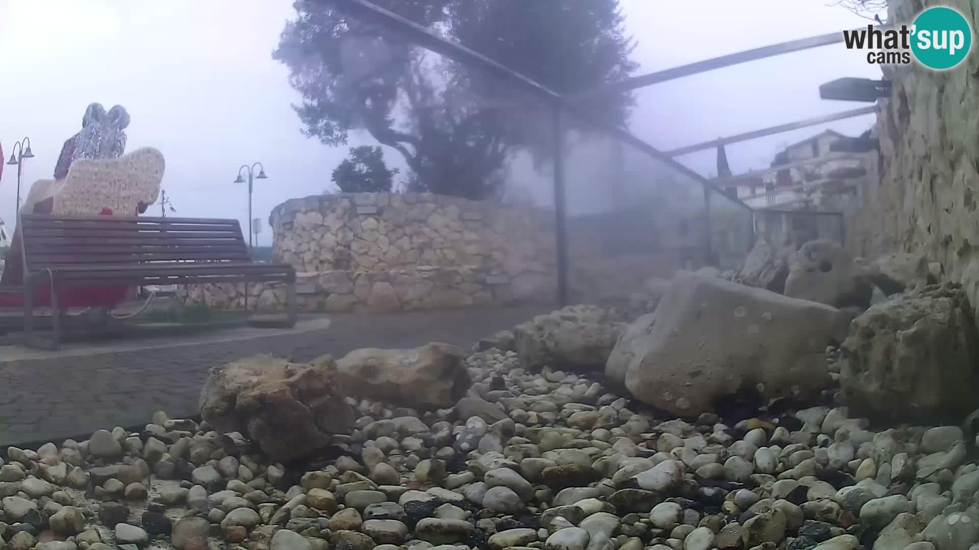 Outdoor Marine Aquarium Rogoznica webcam Croatia
