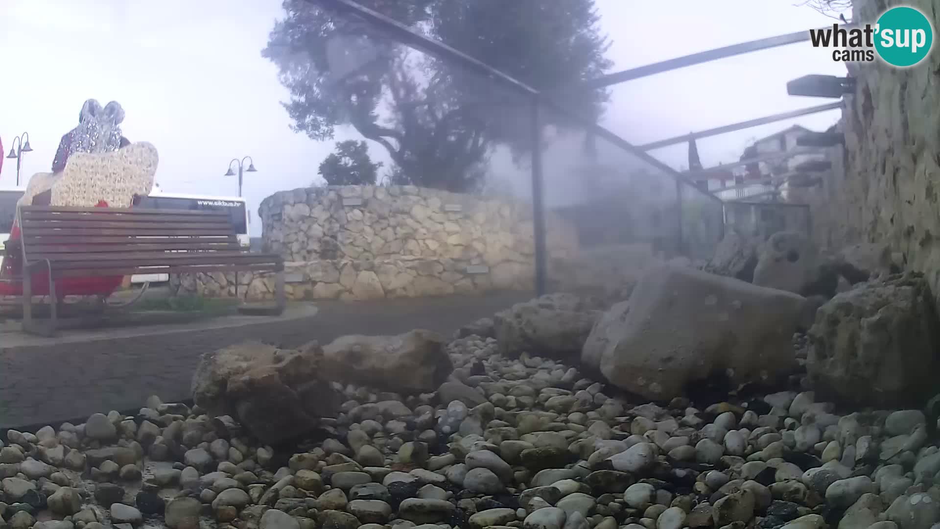 Outdoor Marine Aquarium Rogoznica webcam Croatia