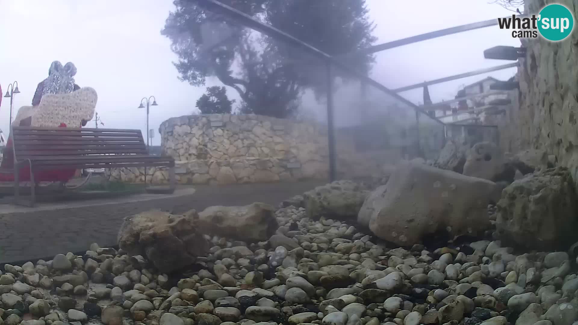 Acuario marino al aire libre Rogoznica webcam Croacia