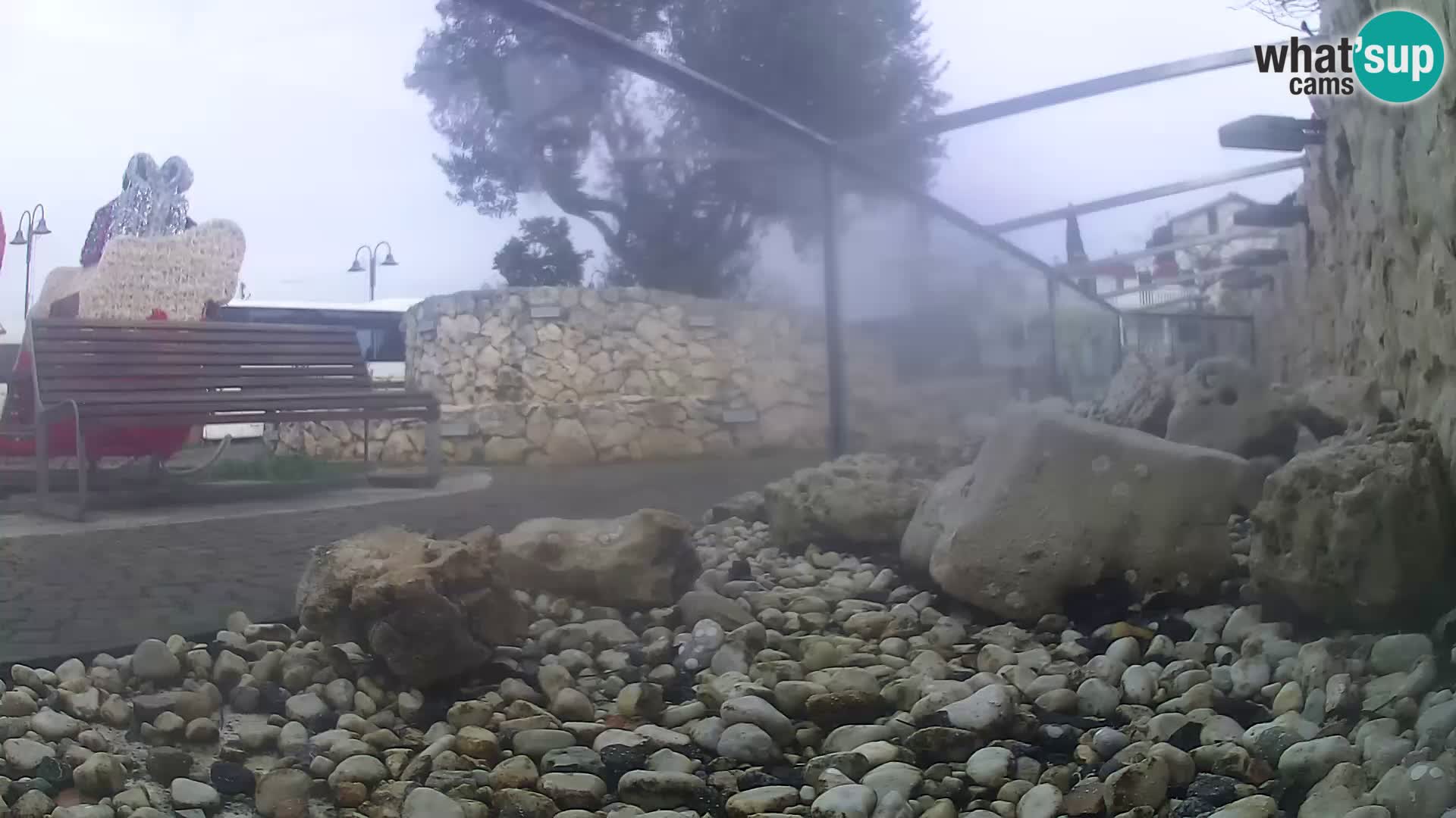 Vanjski morski akvarij Rogoznica web kamera Hrvatska