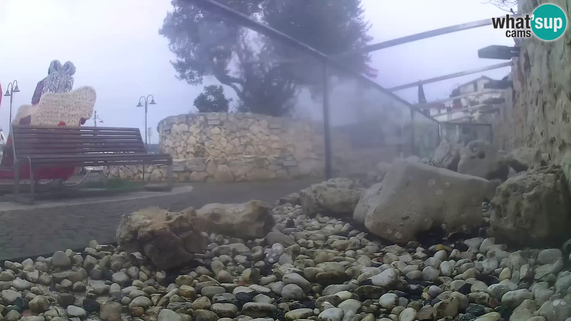 Outdoor Marine Aquarium Rogoznica webcam Croatia