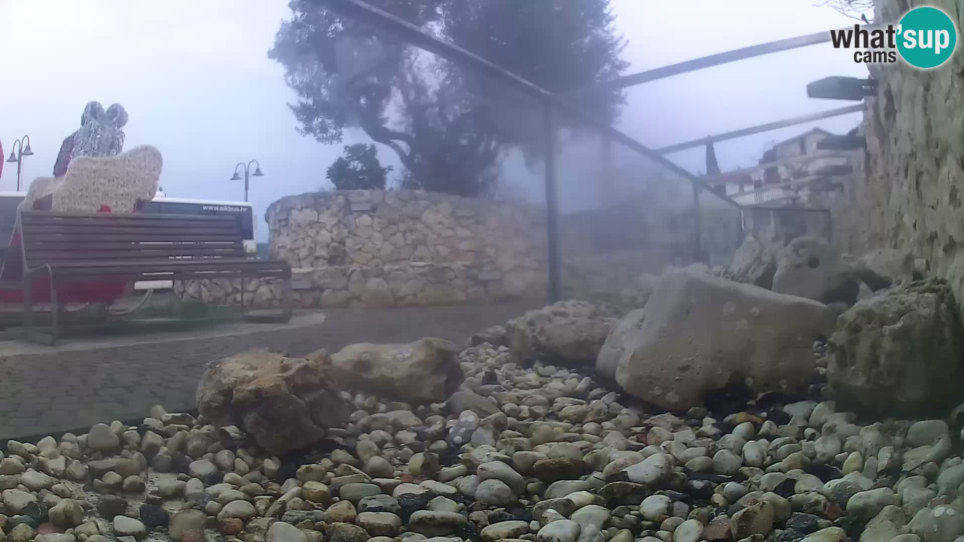 Zunanji morski akvarij Rogoznica spletna kamera Hrvaška