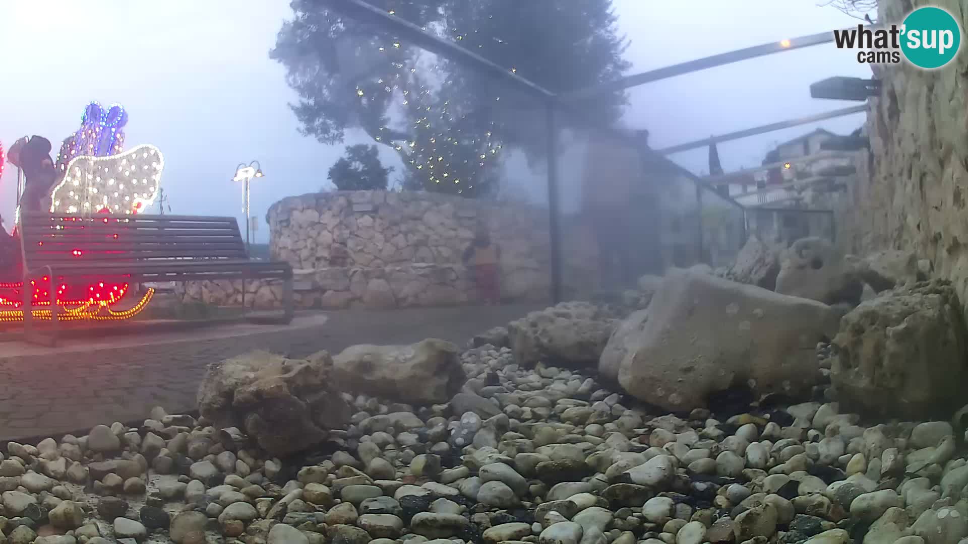 Outdoor Marine Aquarium Rogoznica webcam Croatia