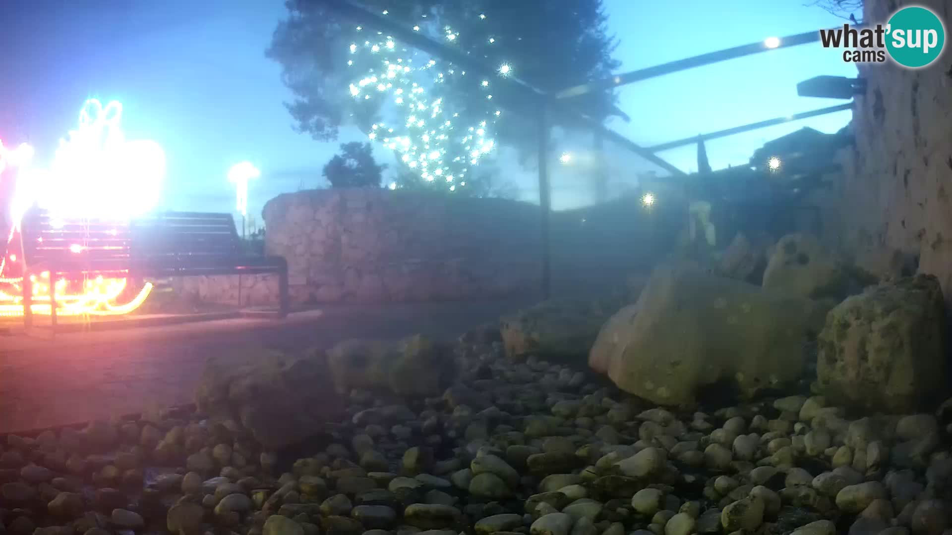 Zunanji morski akvarij Rogoznica spletna kamera Hrvaška