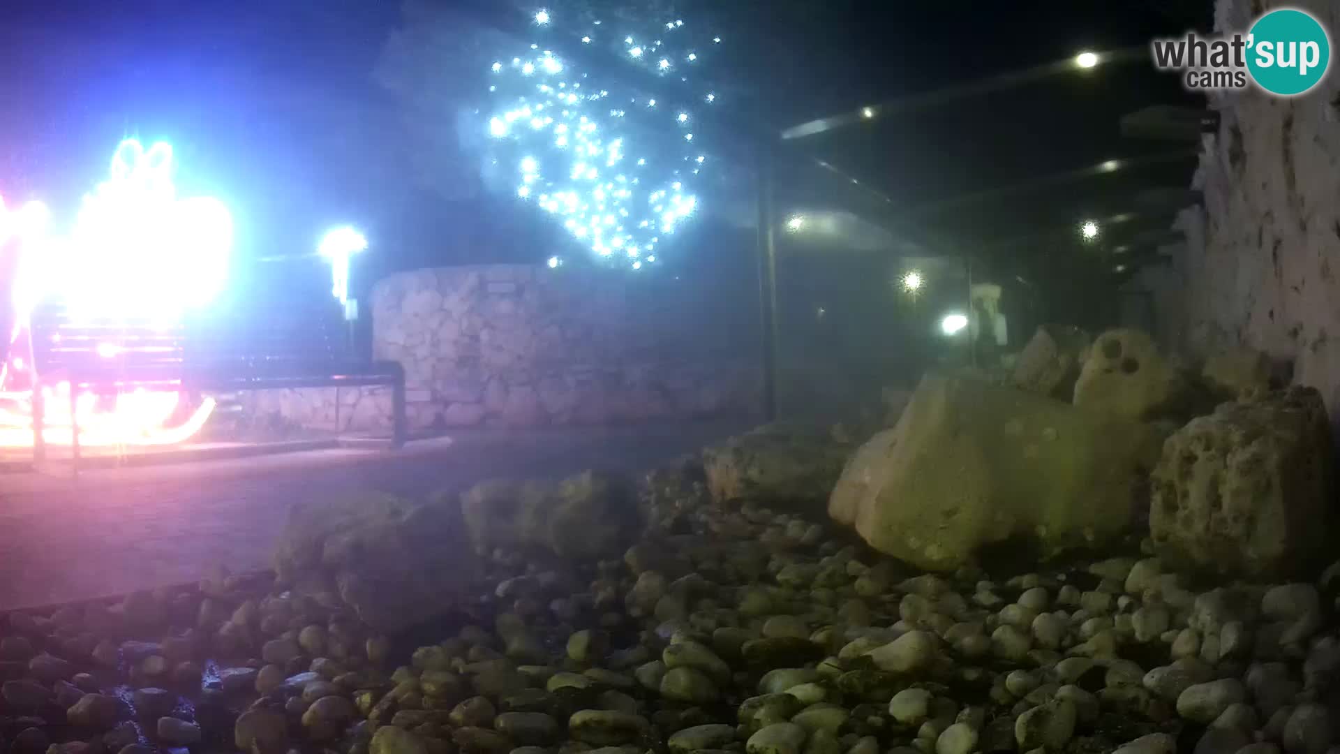Aquario marino esterno –  Rogoznica livecam Croazia