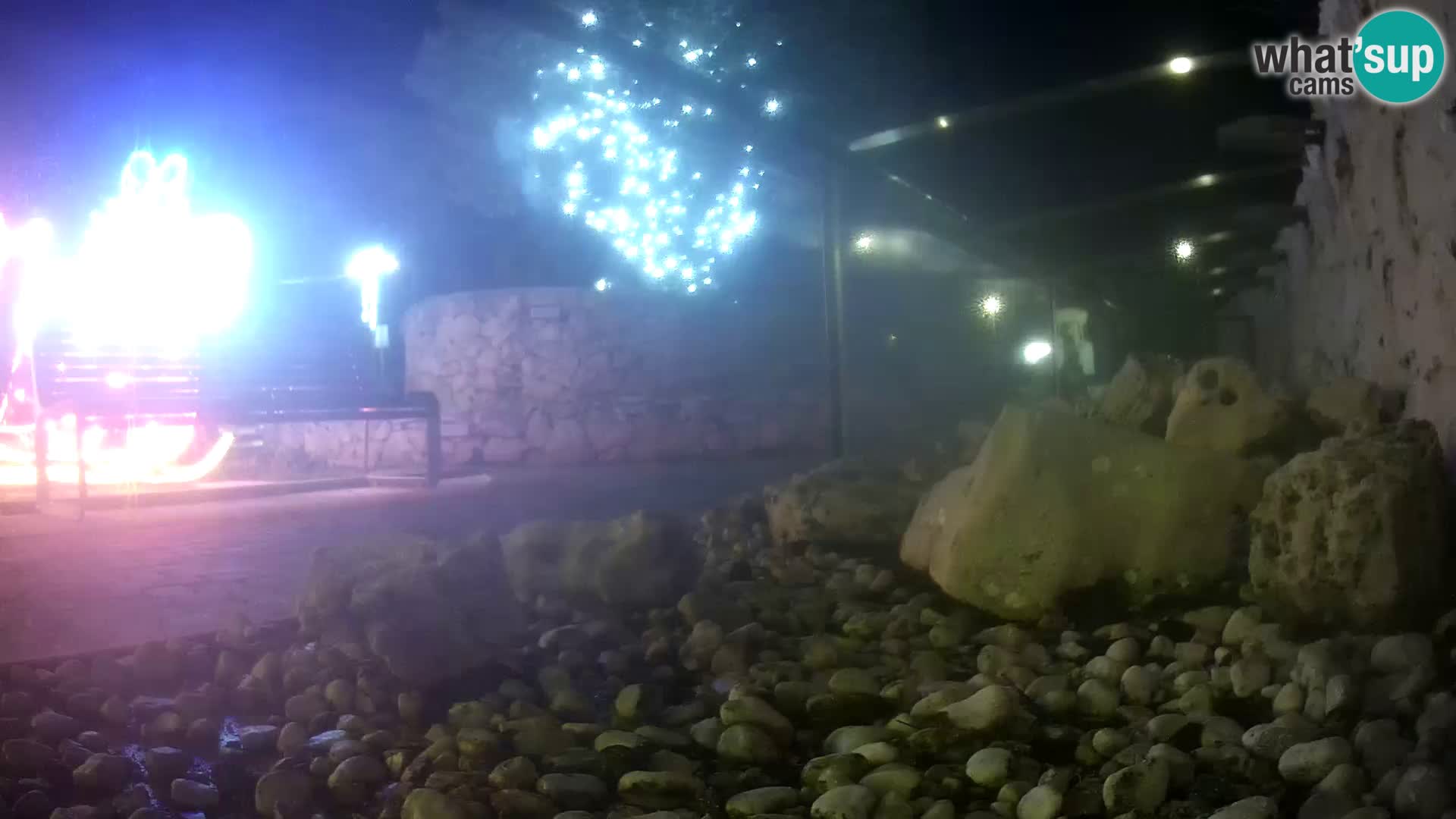 Aquario marino esterno –  Rogoznica livecam Croazia