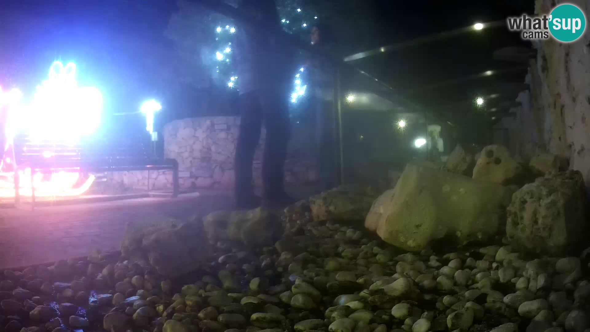 Outdoor Marine Aquarium Rogoznica webcam Croatia