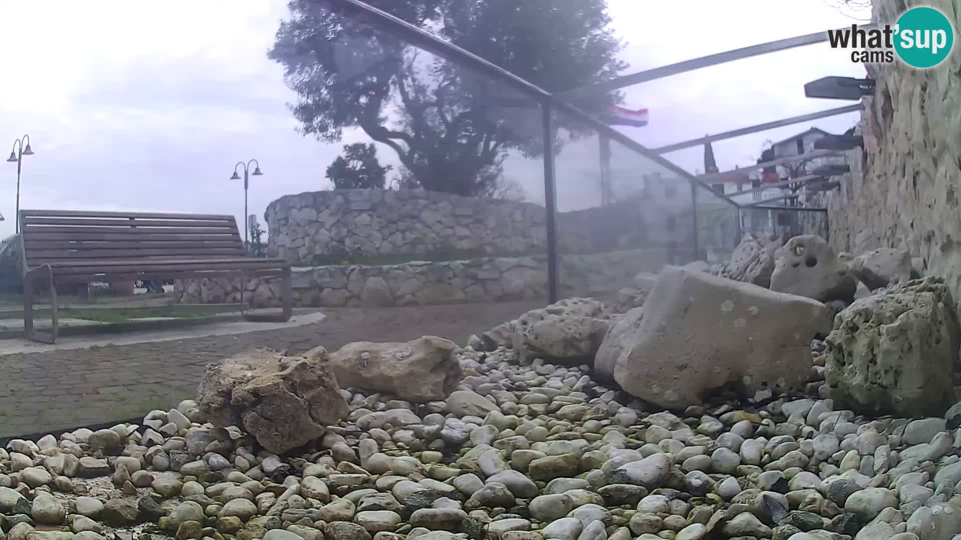 Zunanji morski akvarij Rogoznica spletna kamera Hrvaška