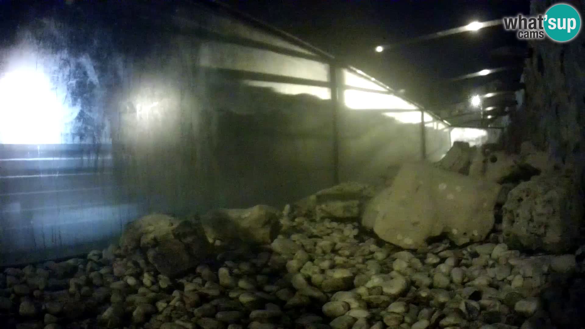 Aquario marino esterno –  Rogoznica livecam Croazia