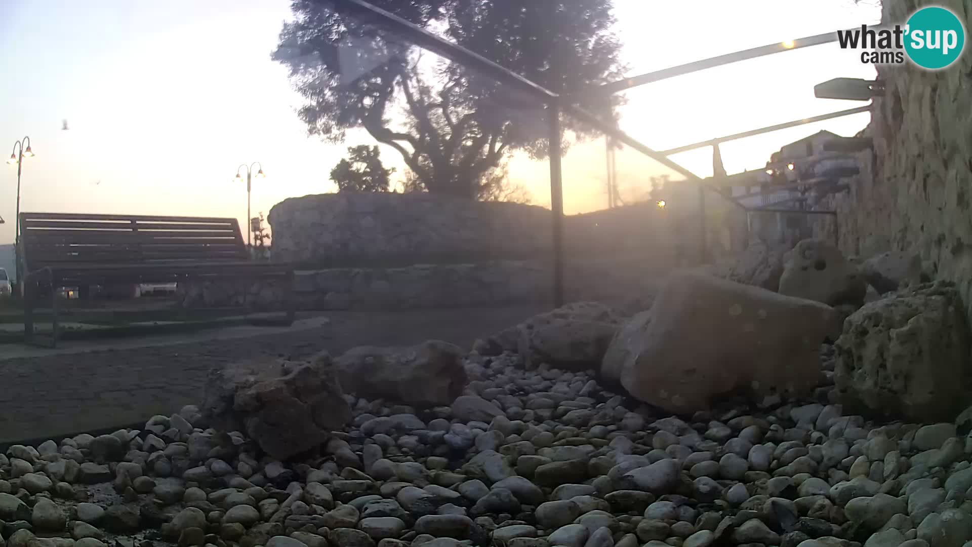 Vanjski morski akvarij Rogoznica web kamera Hrvatska