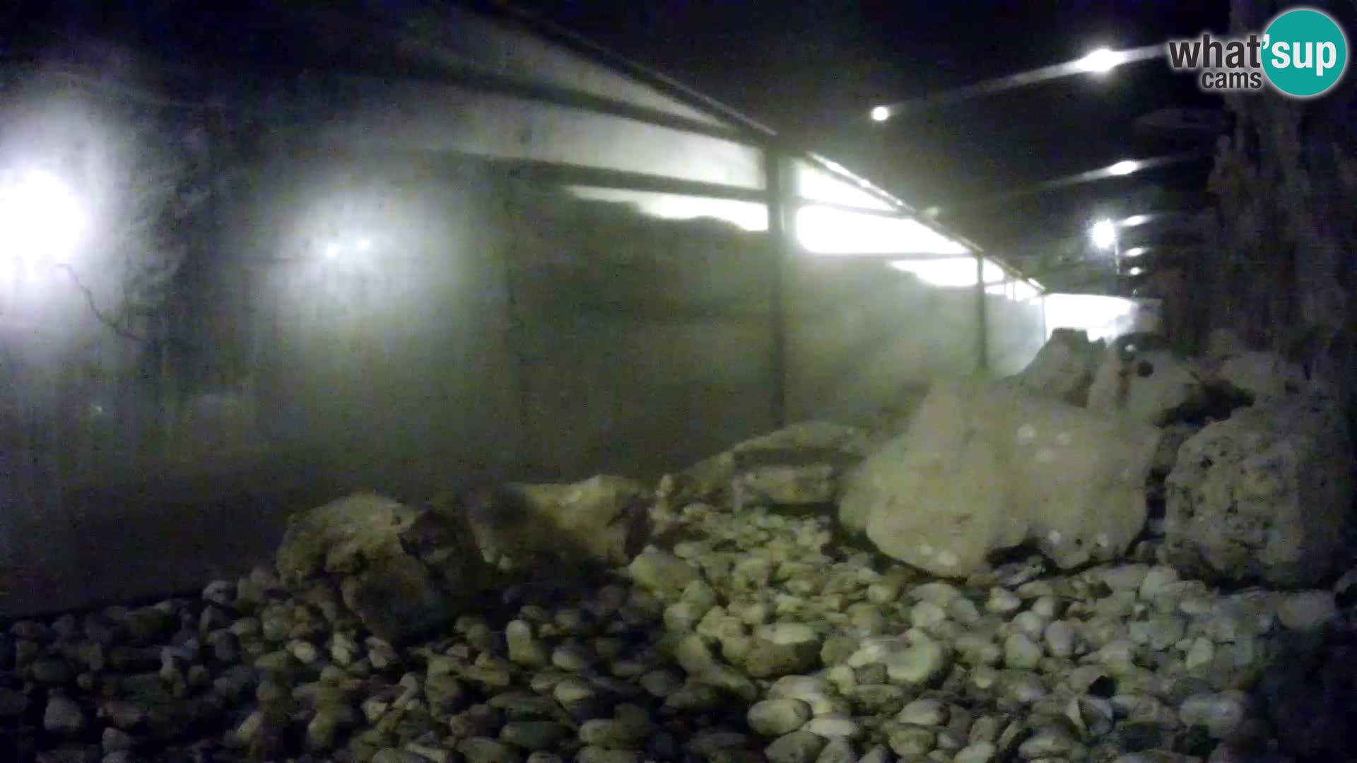 Marine Aquarium im Freien Rogoznica webcam Kroatien