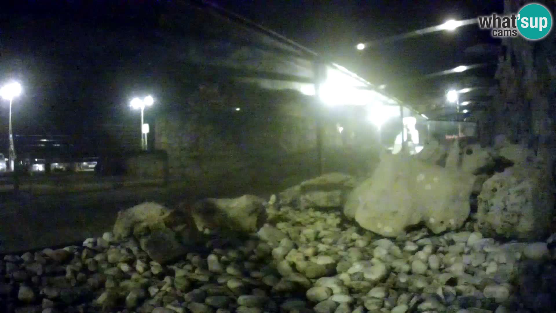 Acuario marino al aire libre Rogoznica webcam Croacia