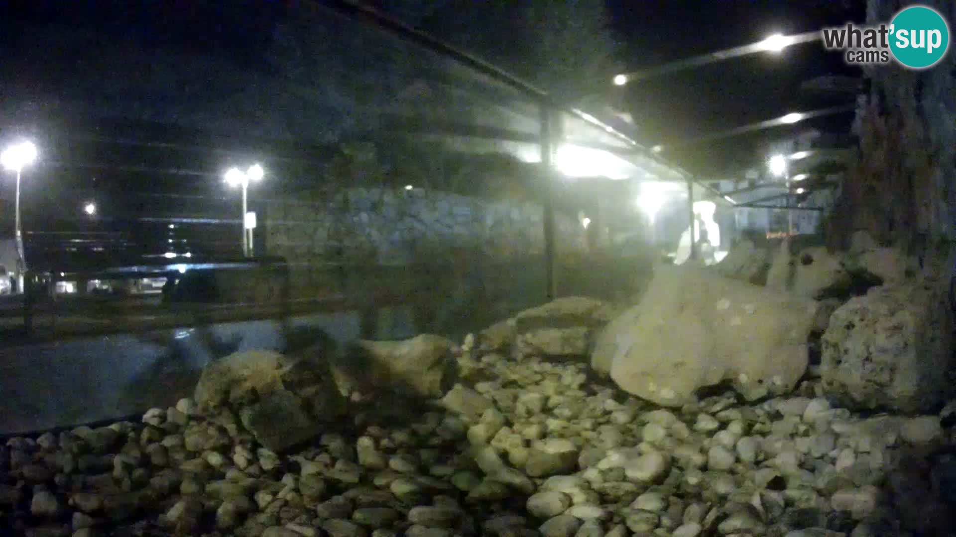 Outdoor Marine Aquarium Rogoznica webcam Croatia