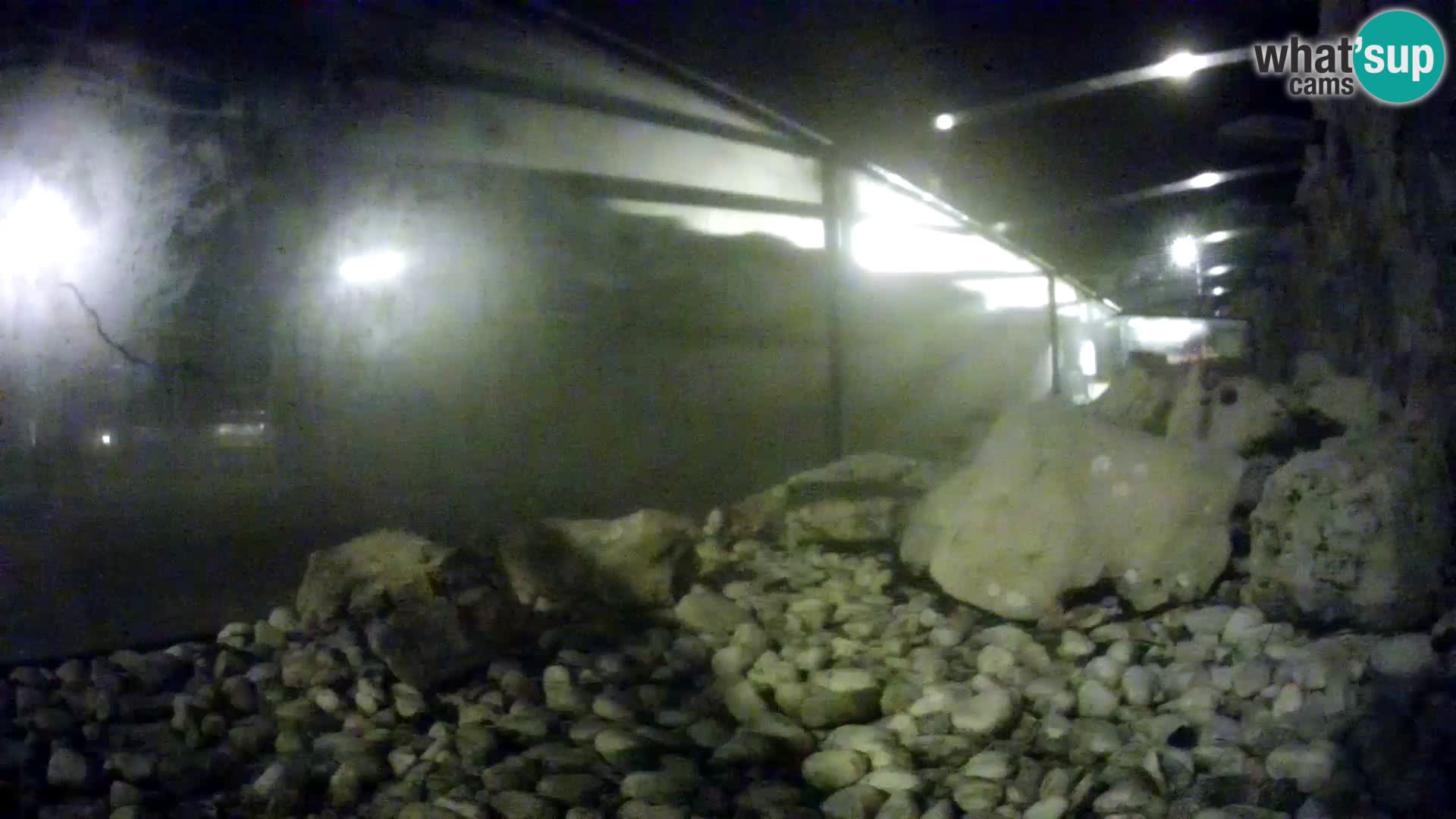 Aquario marino esterno –  Rogoznica livecam Croazia