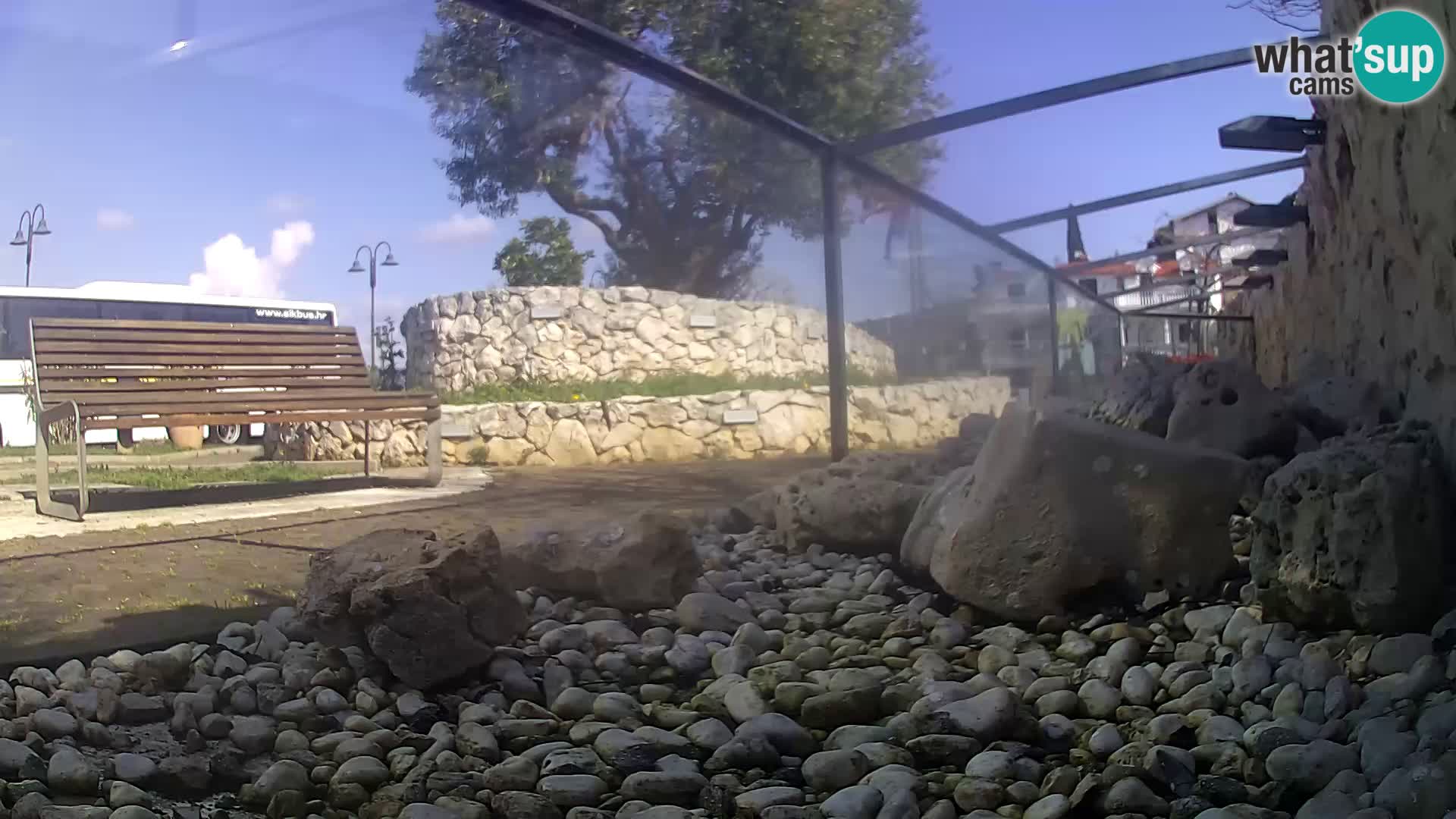 Outdoor Marine Aquarium Rogoznica webcam Croatia