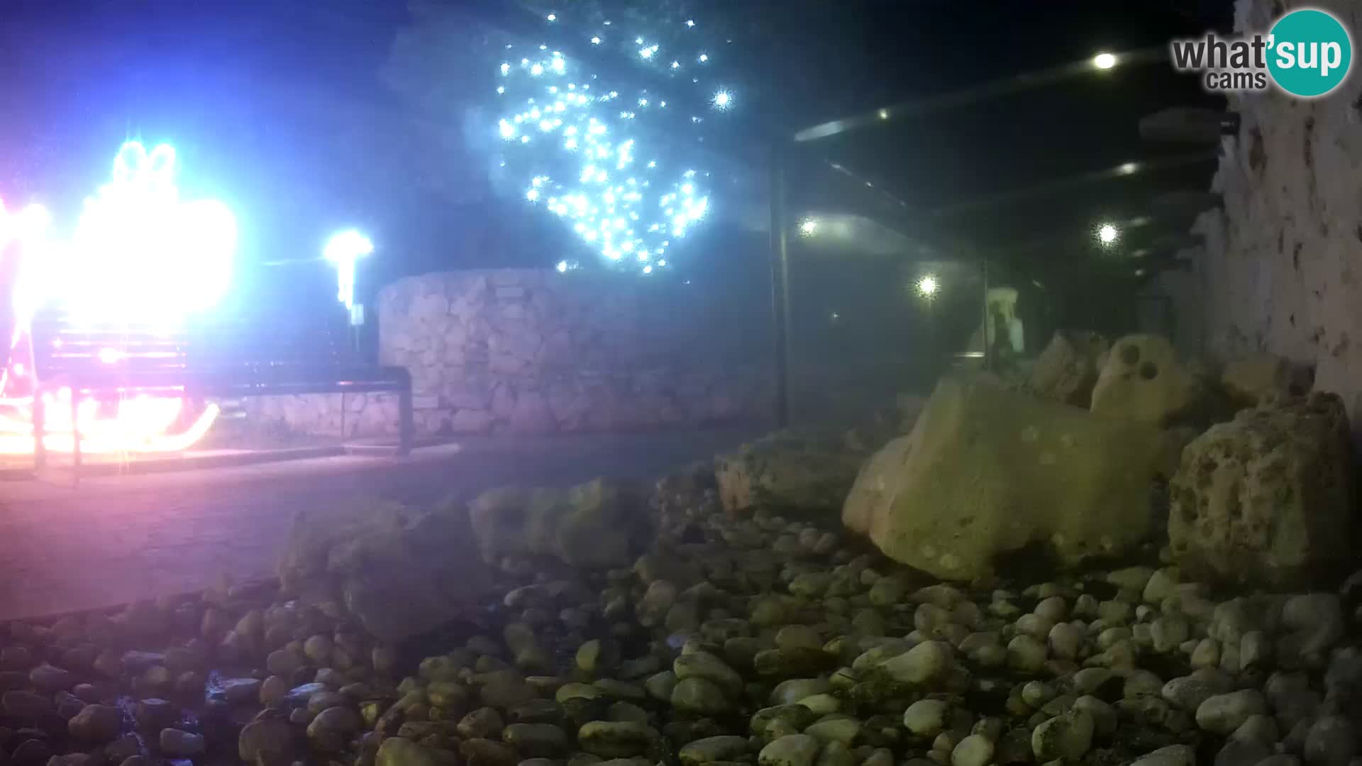 Aquario marino esterno –  Rogoznica livecam Croazia
