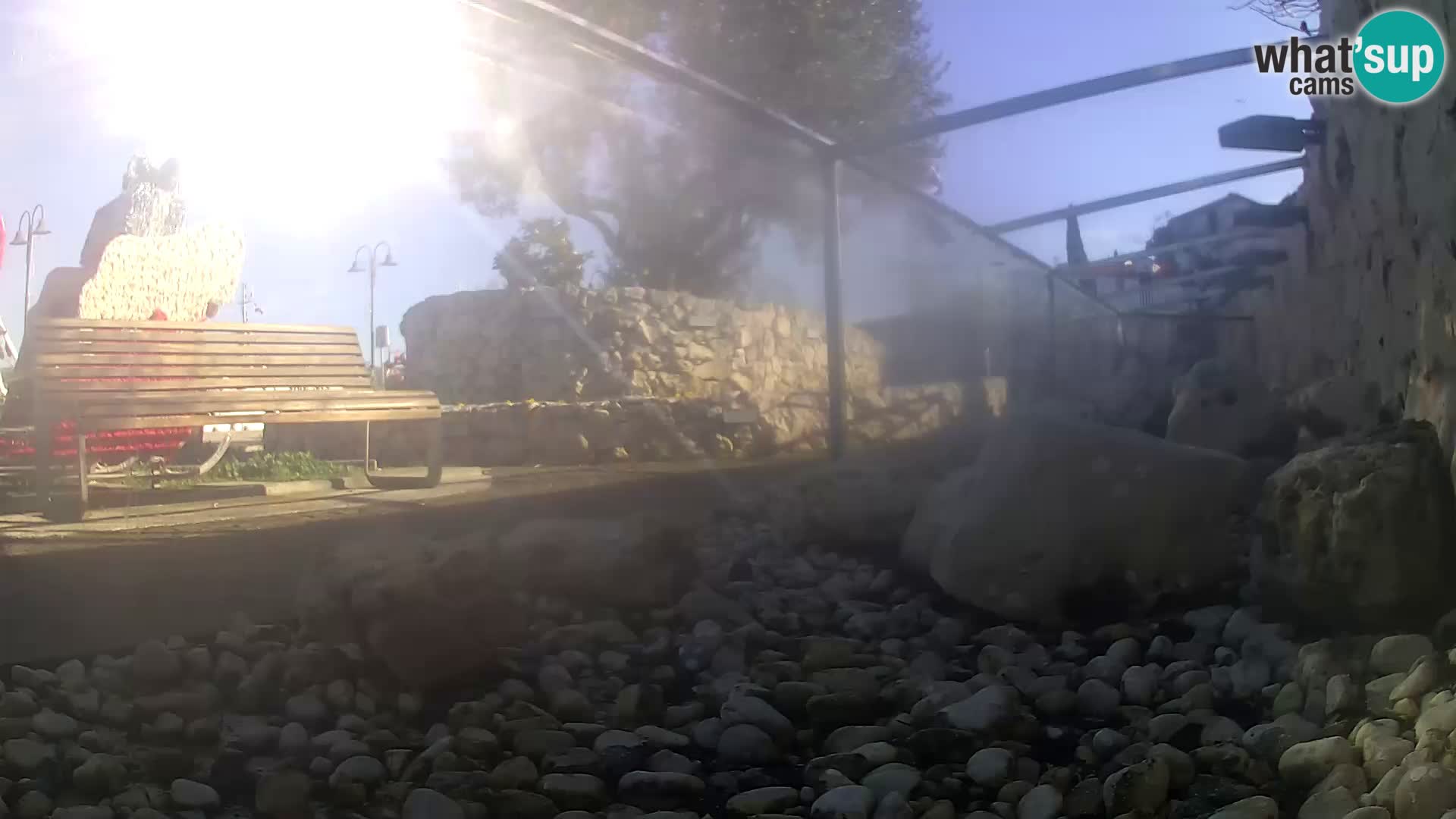 Outdoor Marine Aquarium Rogoznica webcam Croatia