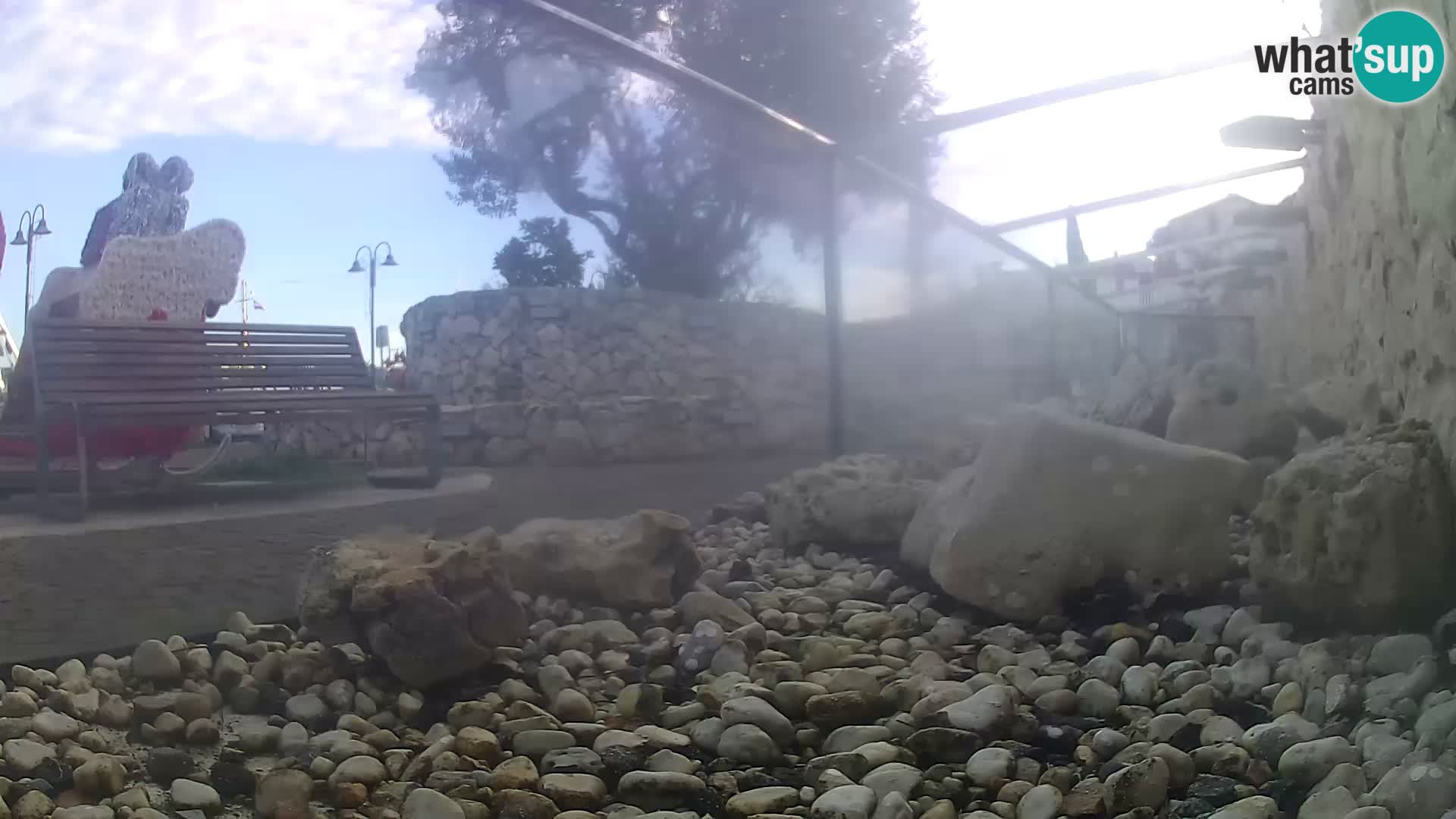 Aquario marino esterno –  Rogoznica livecam Croazia