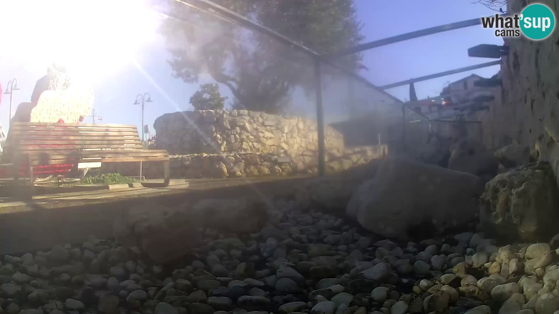 Outdoor Marine Aquarium Rogoznica webcam Croatia