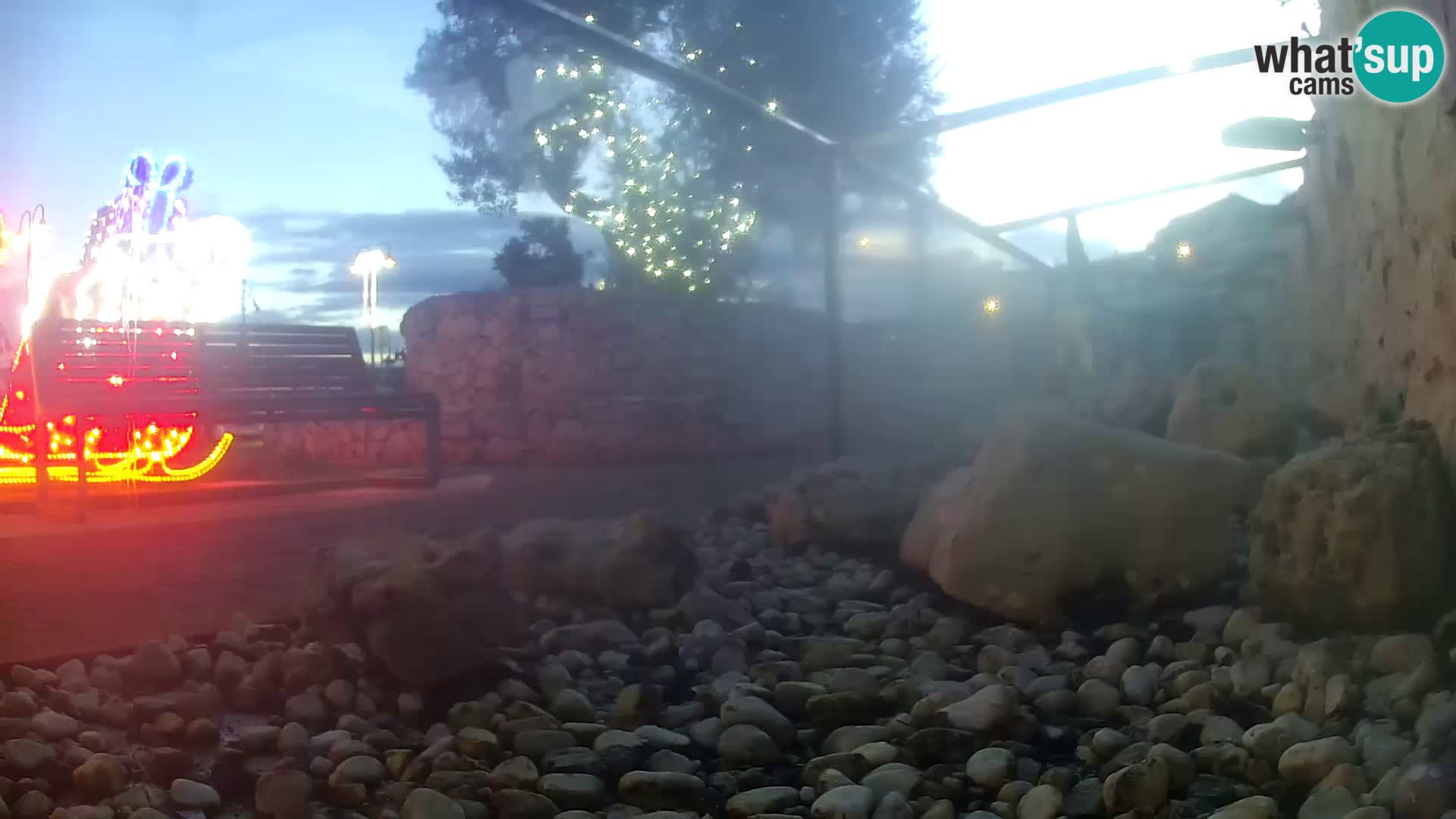 Vanjski morski akvarij Rogoznica web kamera Hrvatska