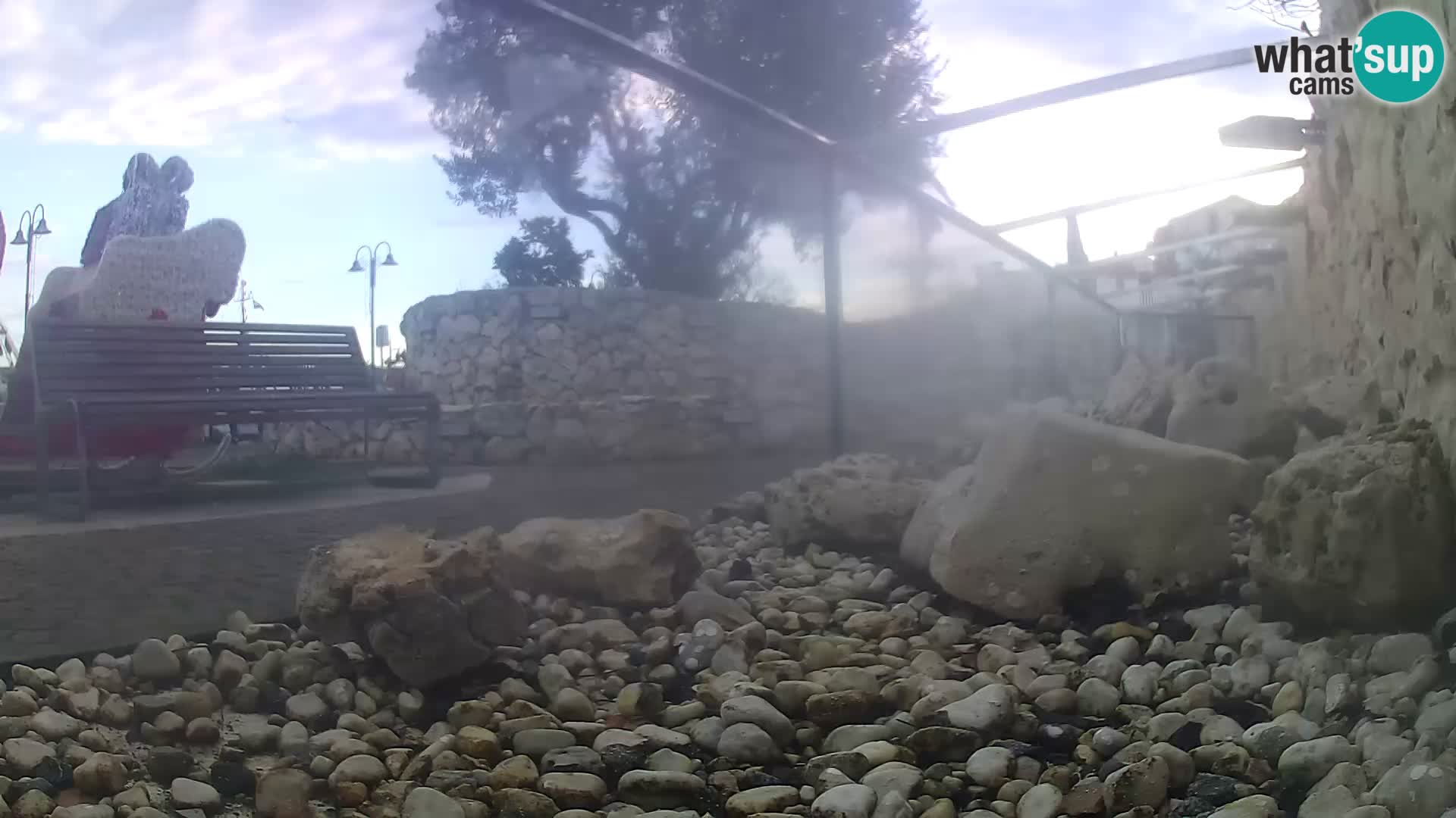 Acuario marino al aire libre Rogoznica webcam Croacia